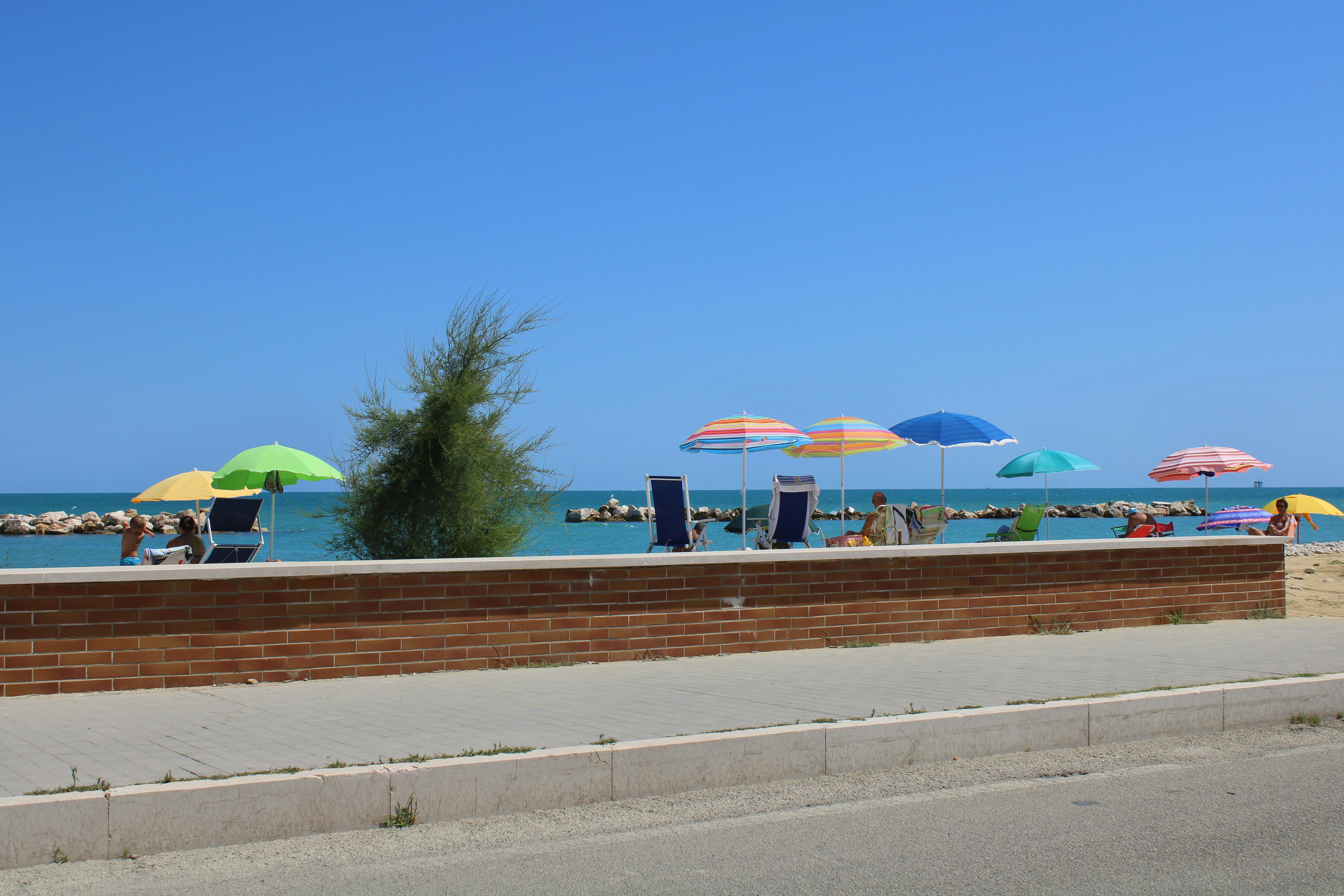 Beach umbrellas and chairs on a sunny day