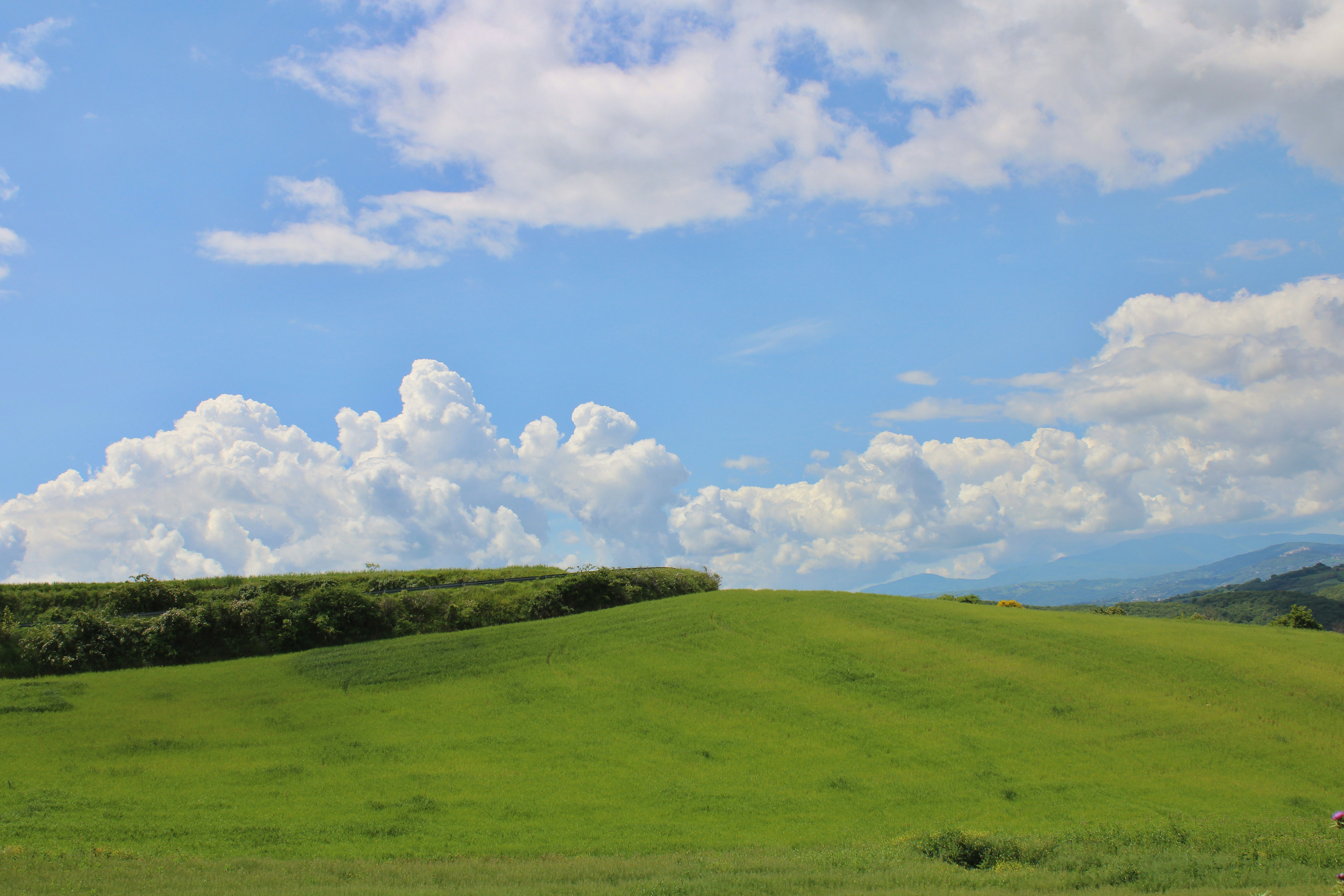 Photo by gabrieleromanoy