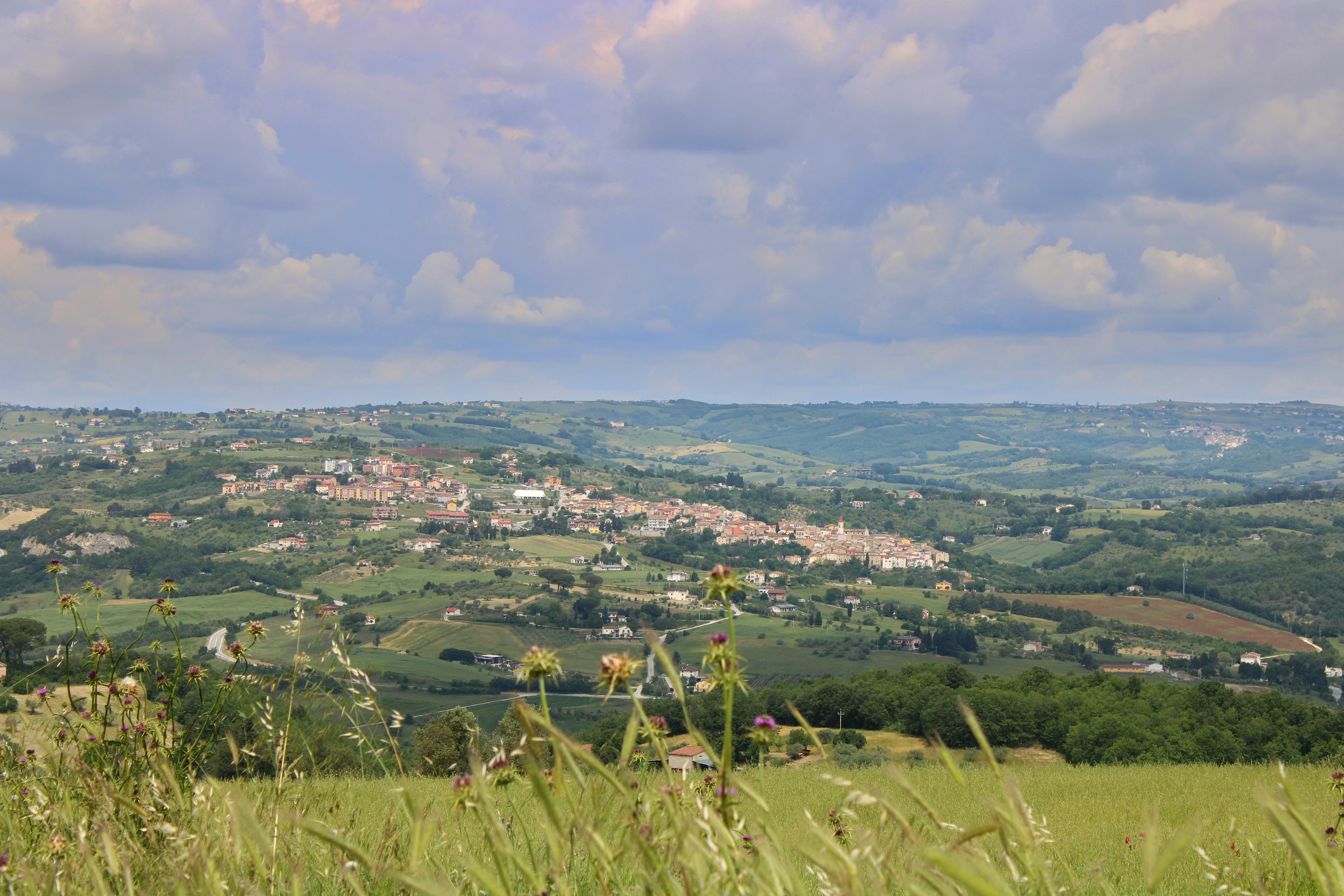 Photo by gabrieleromanoy