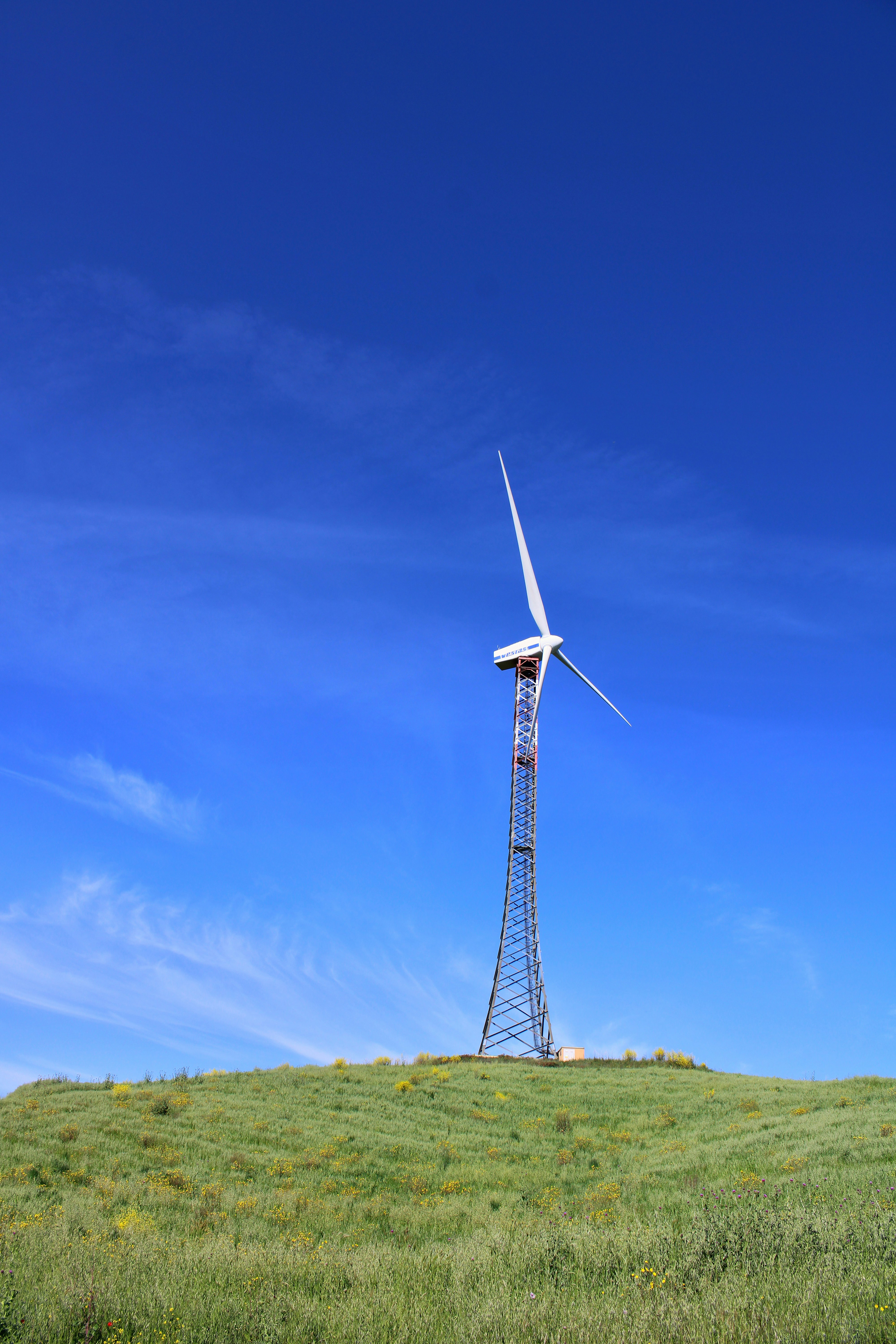 Photo by gabrieleromanoy