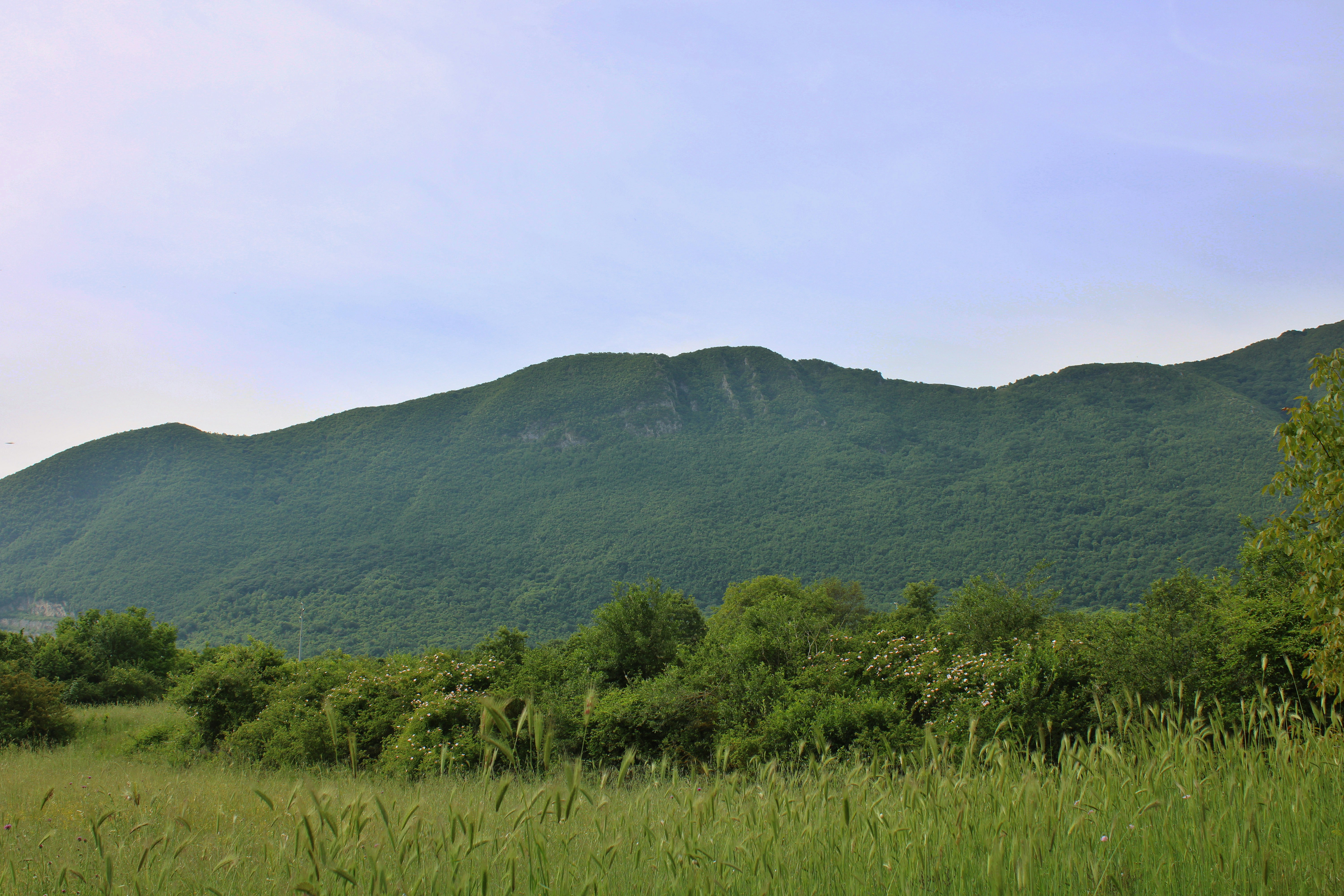 Green rolling hills under a clear sky