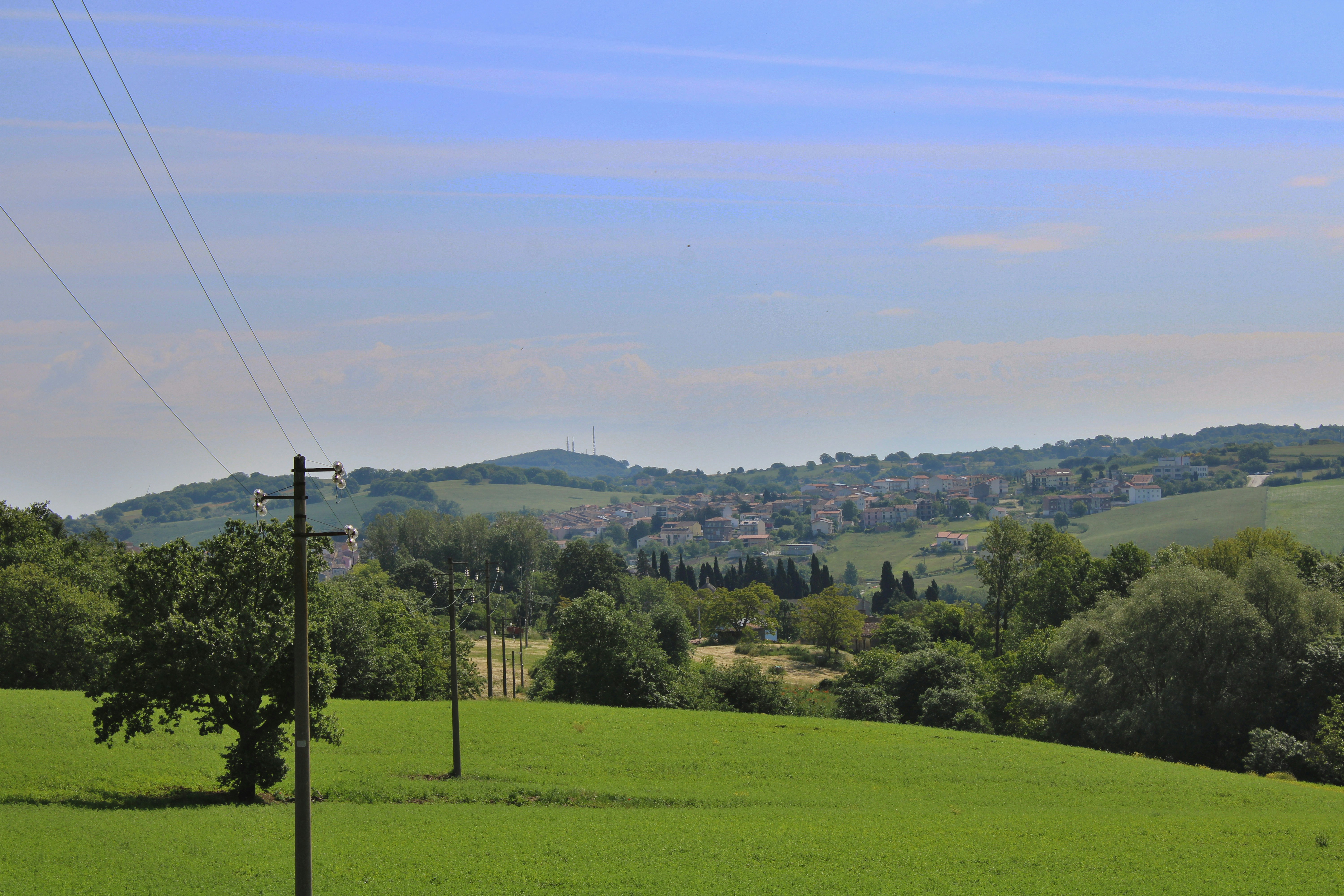 Photo by gabrieleromanoy