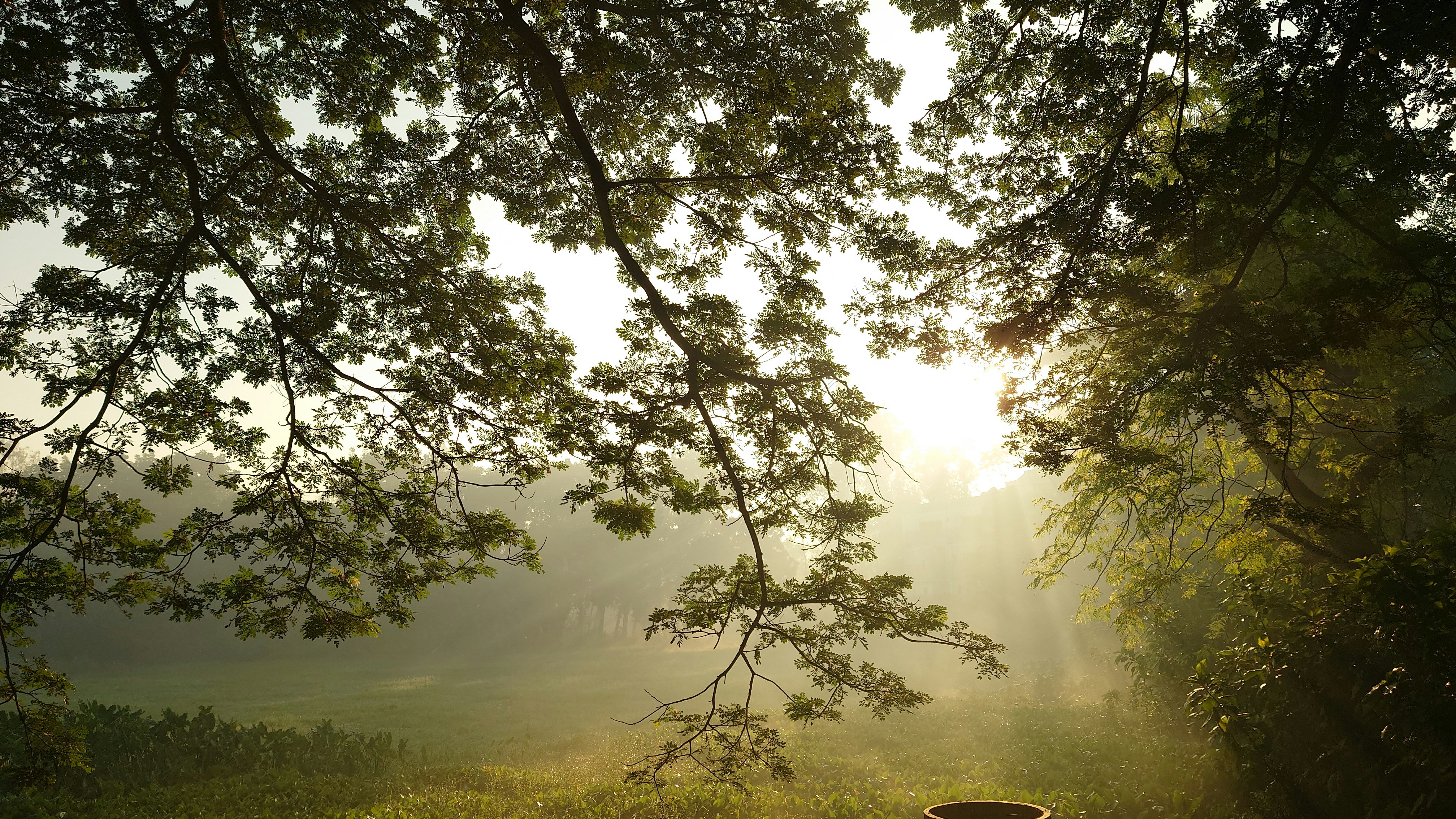 Photo by qksbbskqlsbdbsksbz