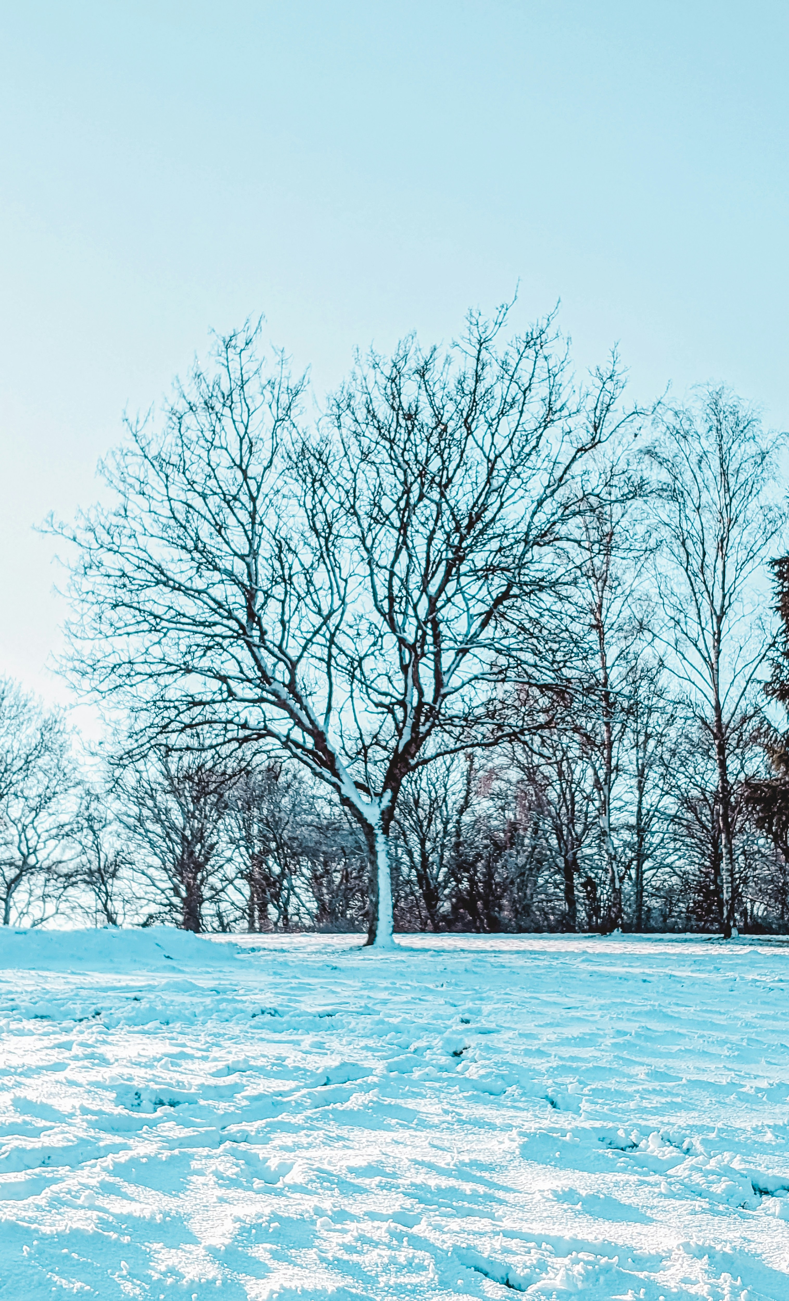 Photo by itsaroadmap