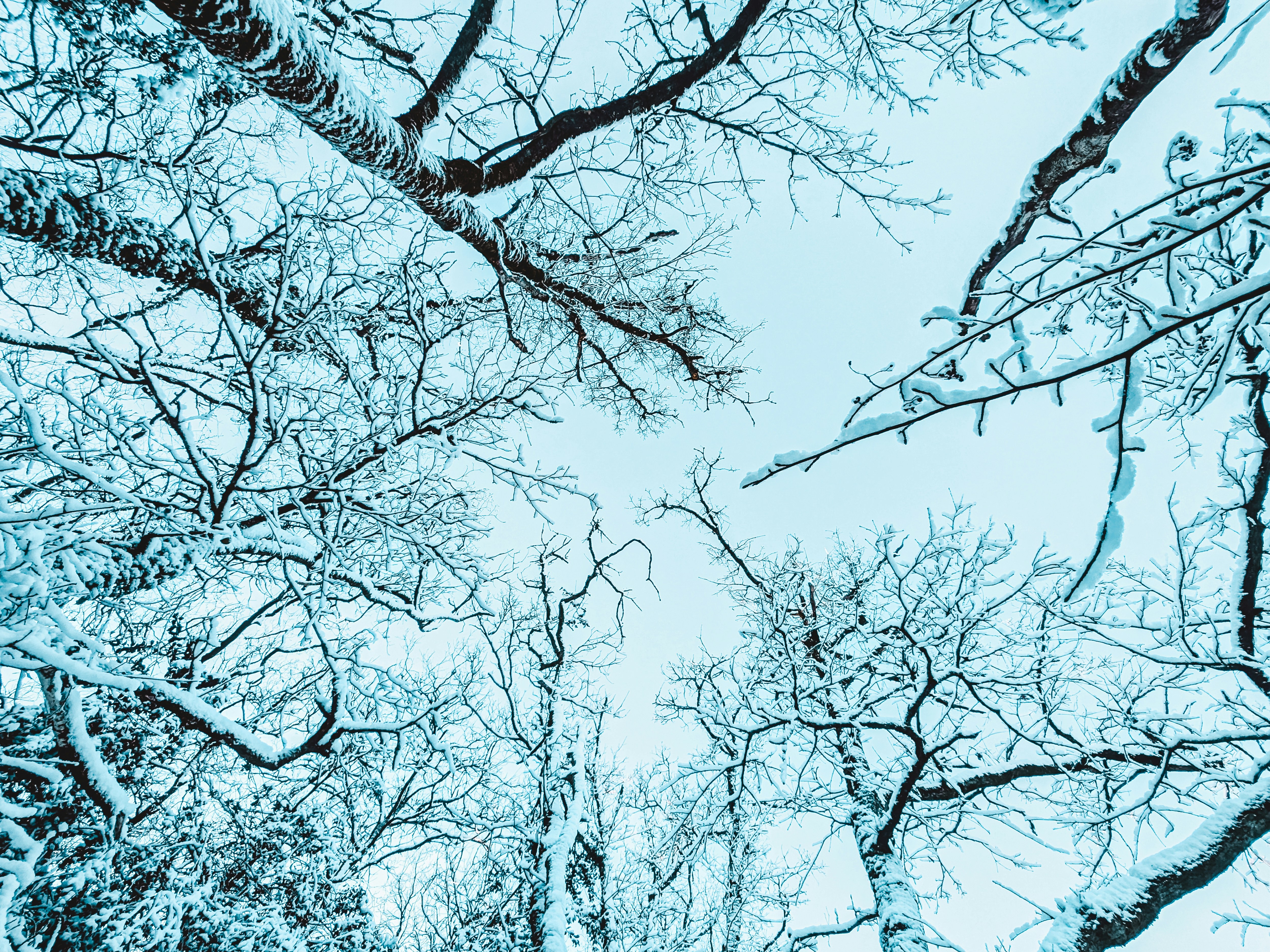 Photo by itsaroadmap