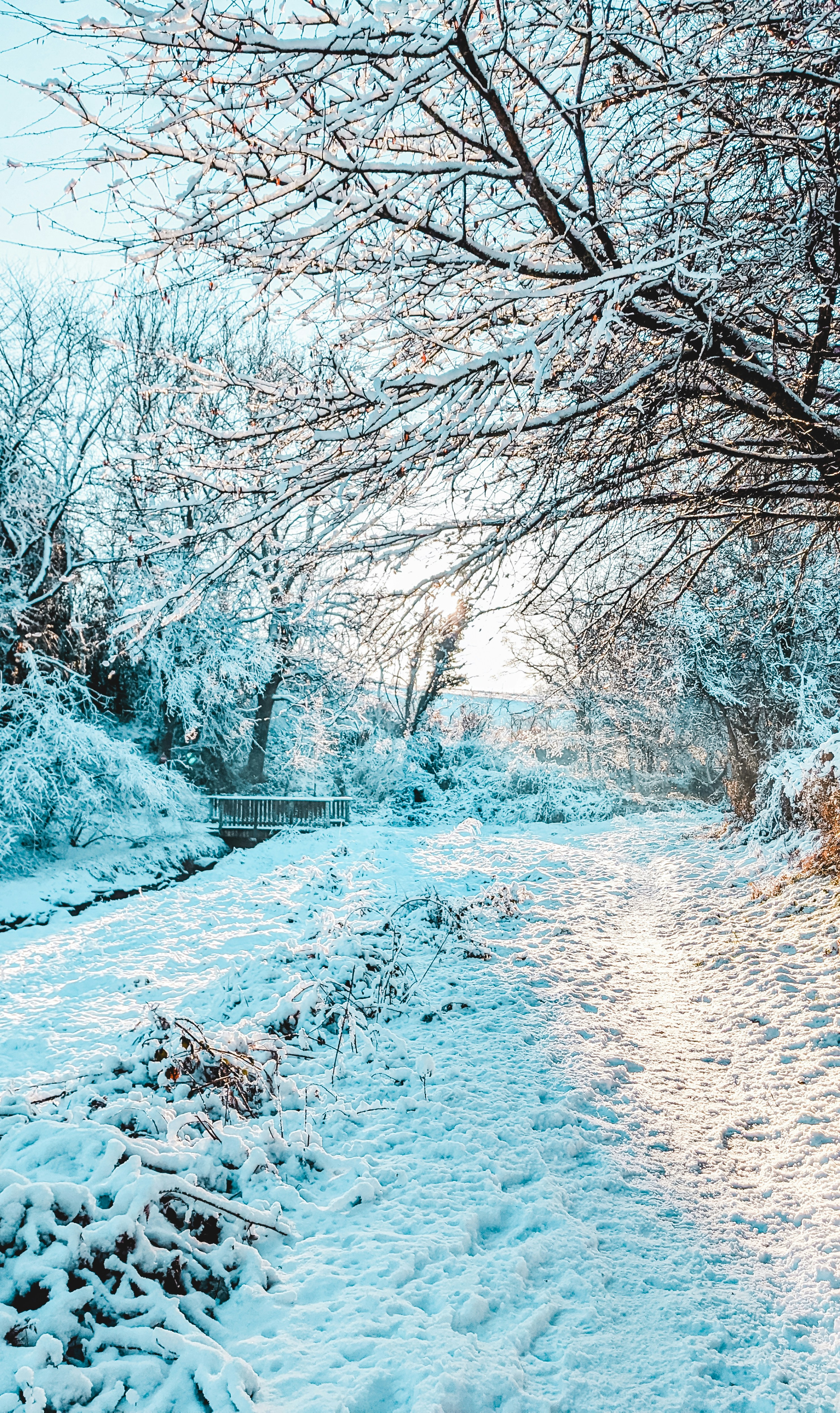 Photo by itsaroadmap