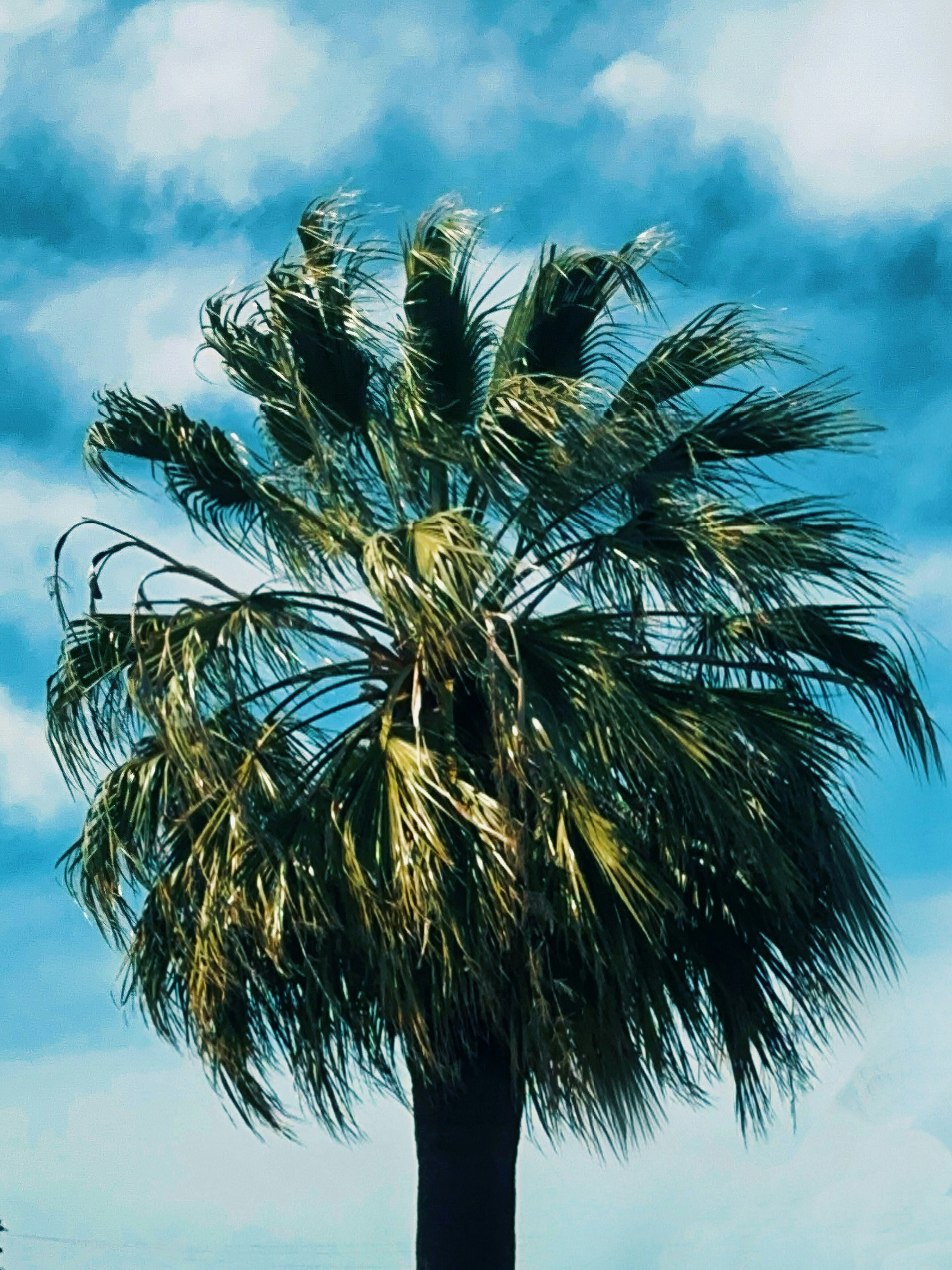 Photo by lidialongorio