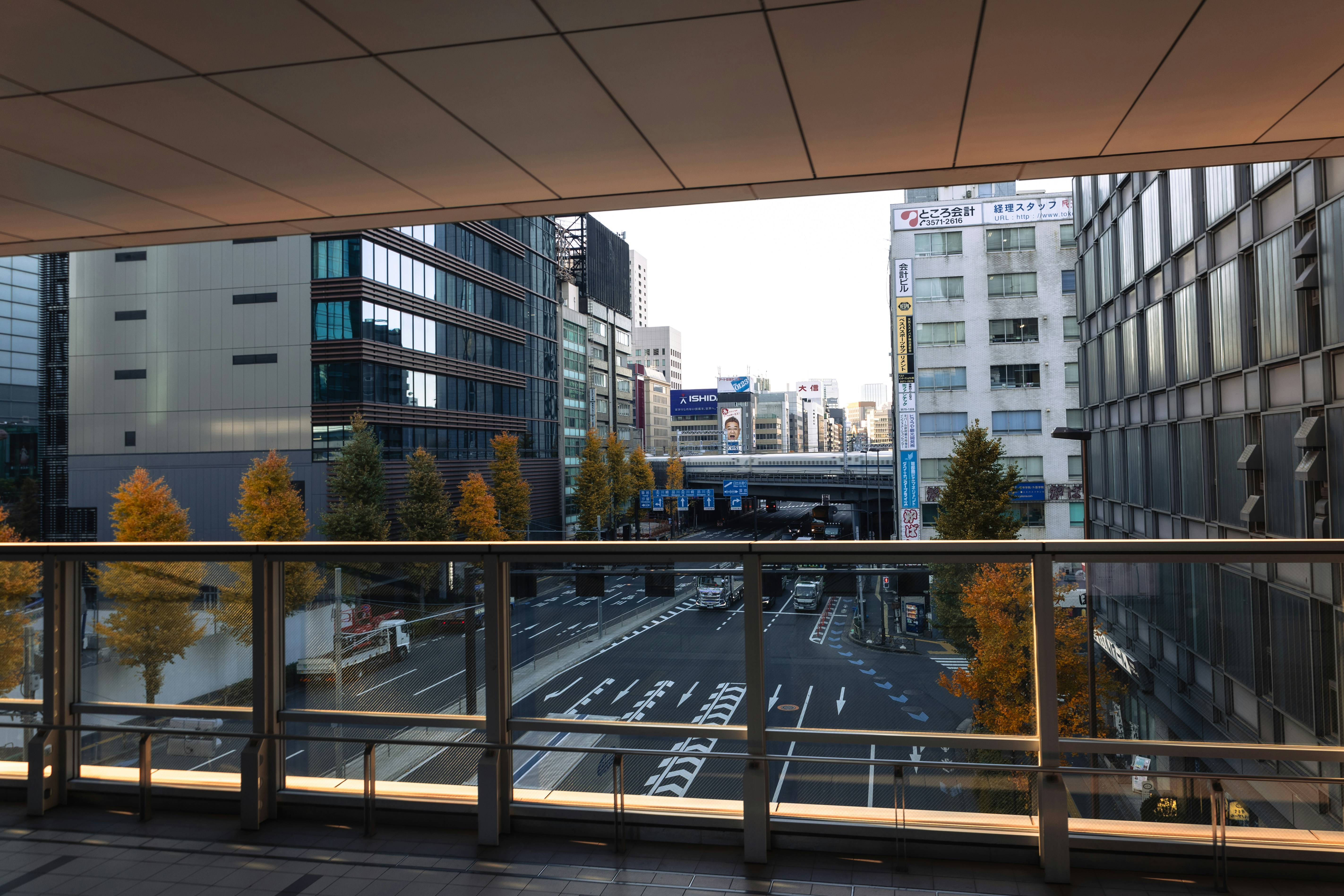 City street with buildings and autumn trees