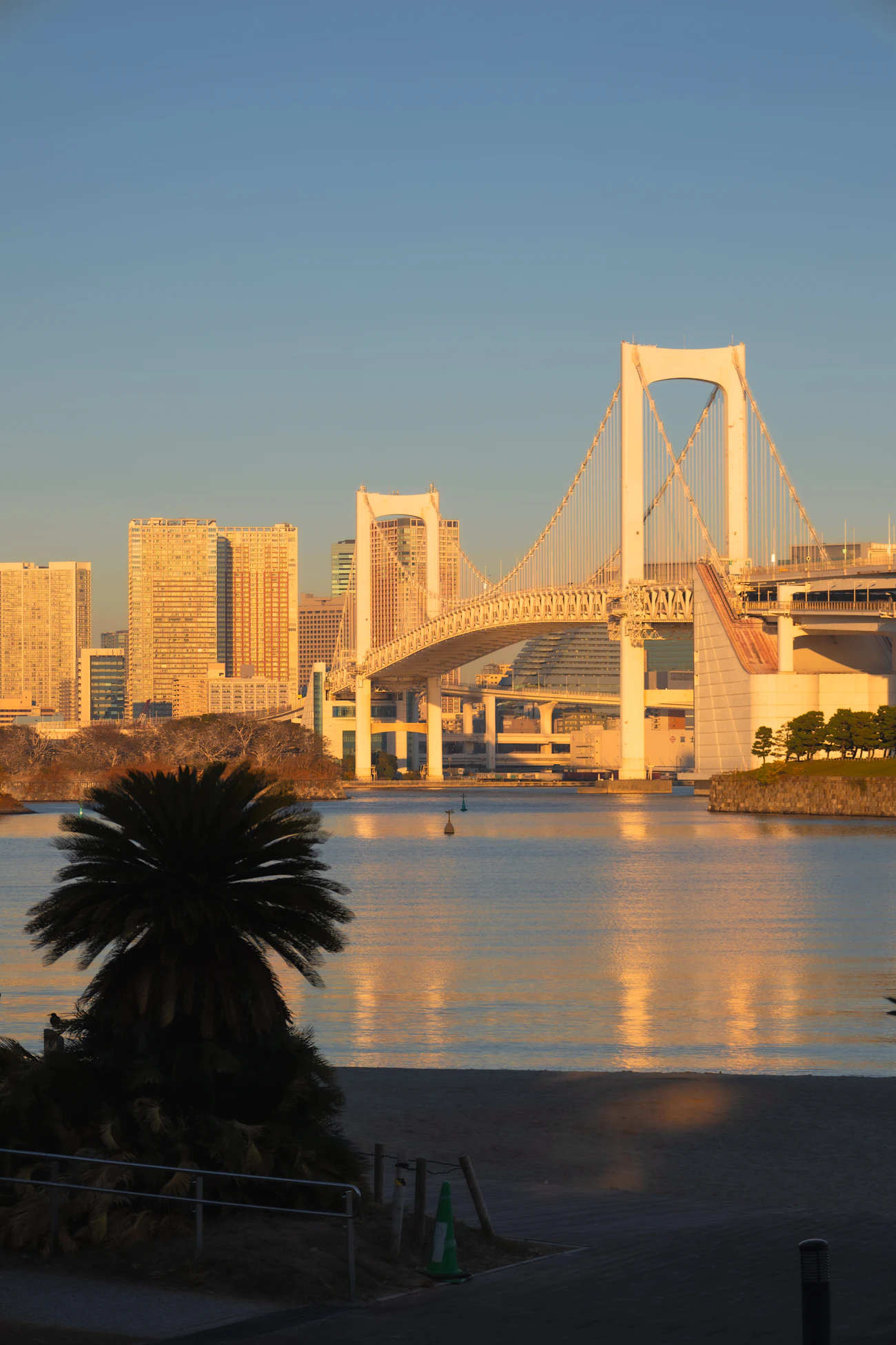 お台場から見たレインボーブリッジと東京の街並み