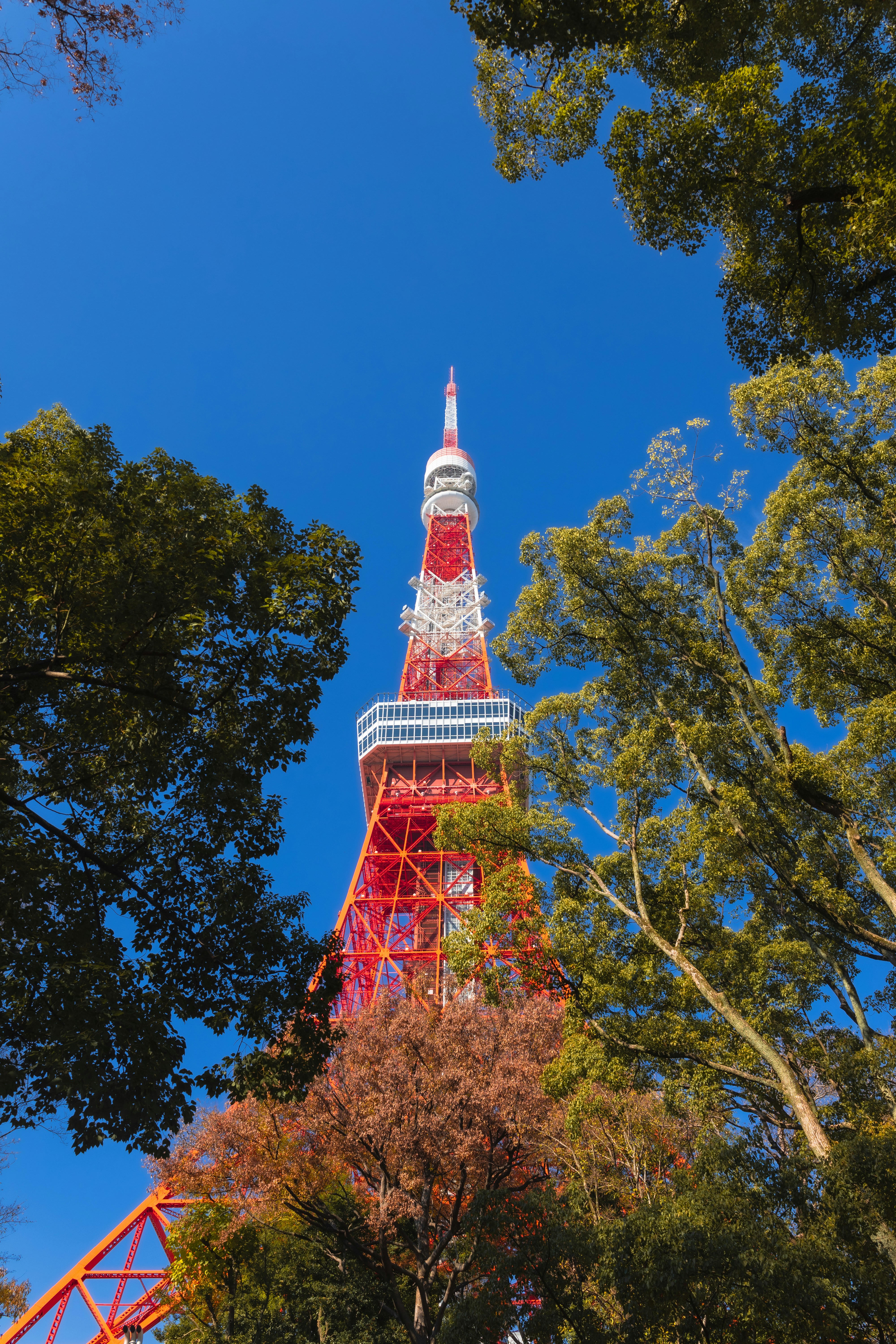 Photo by vincentyuan87