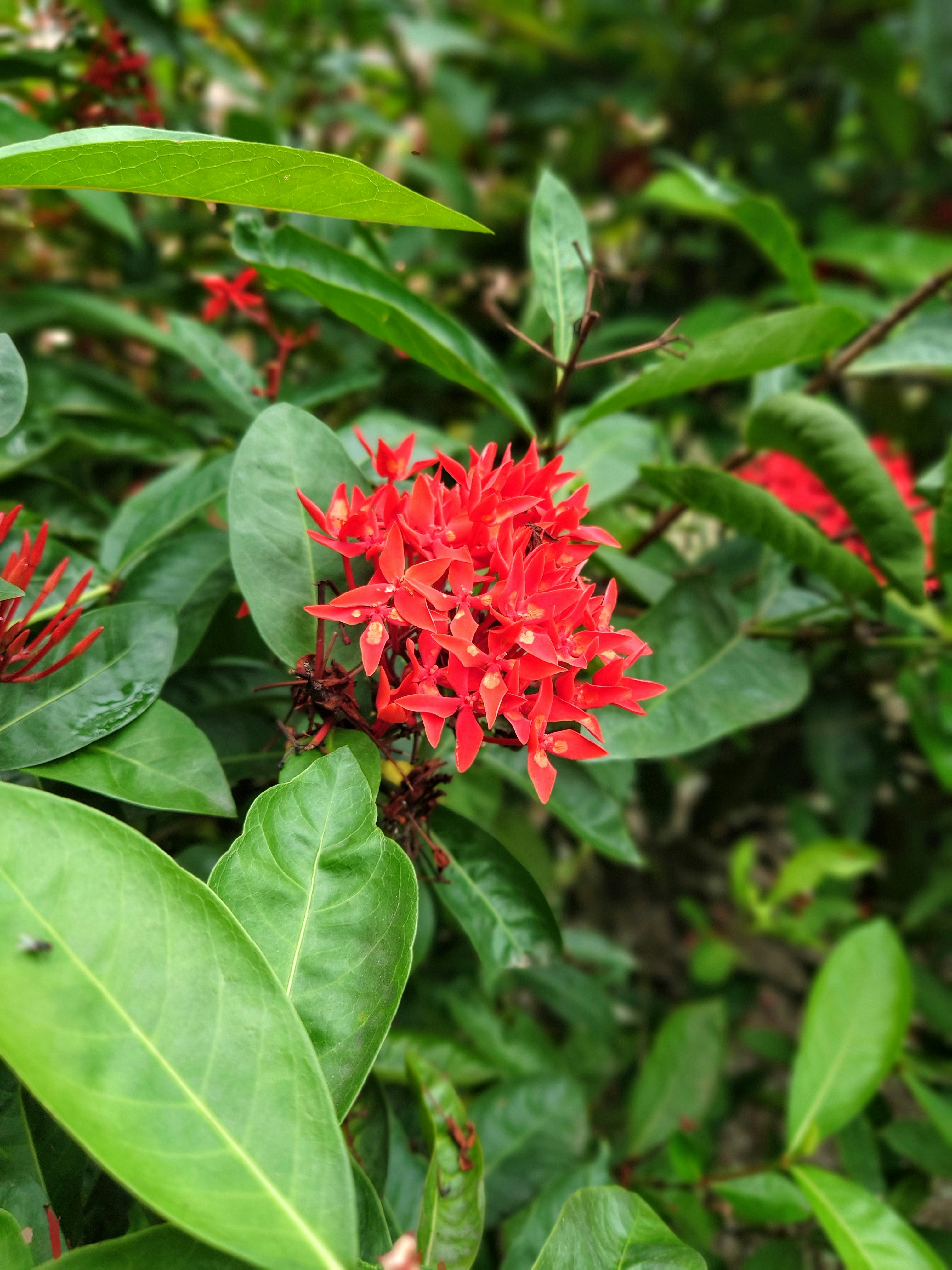 Photo by qksbbskqlsbdbsksbz