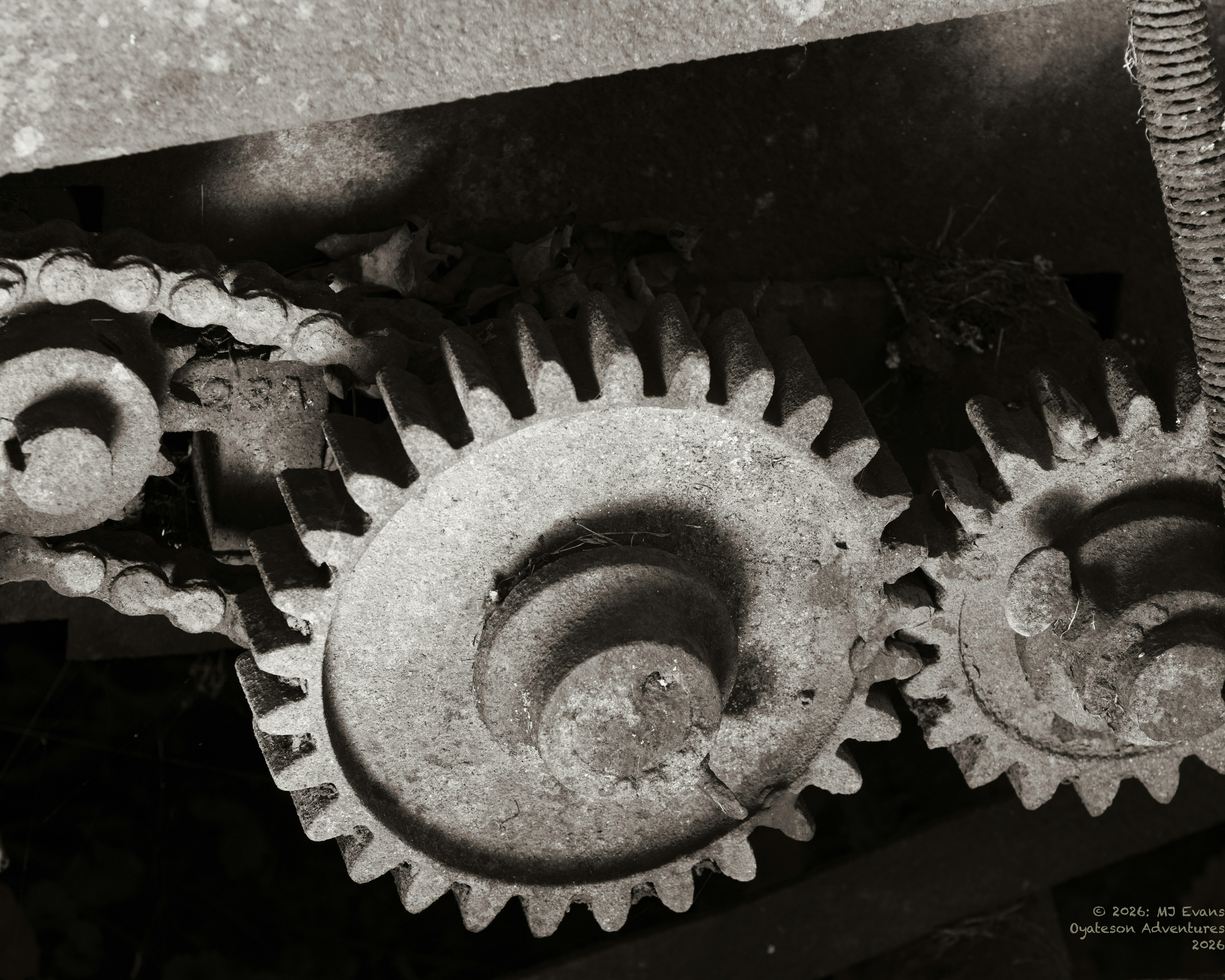 Szczepański Edward. Naprawa maszyn do szycia