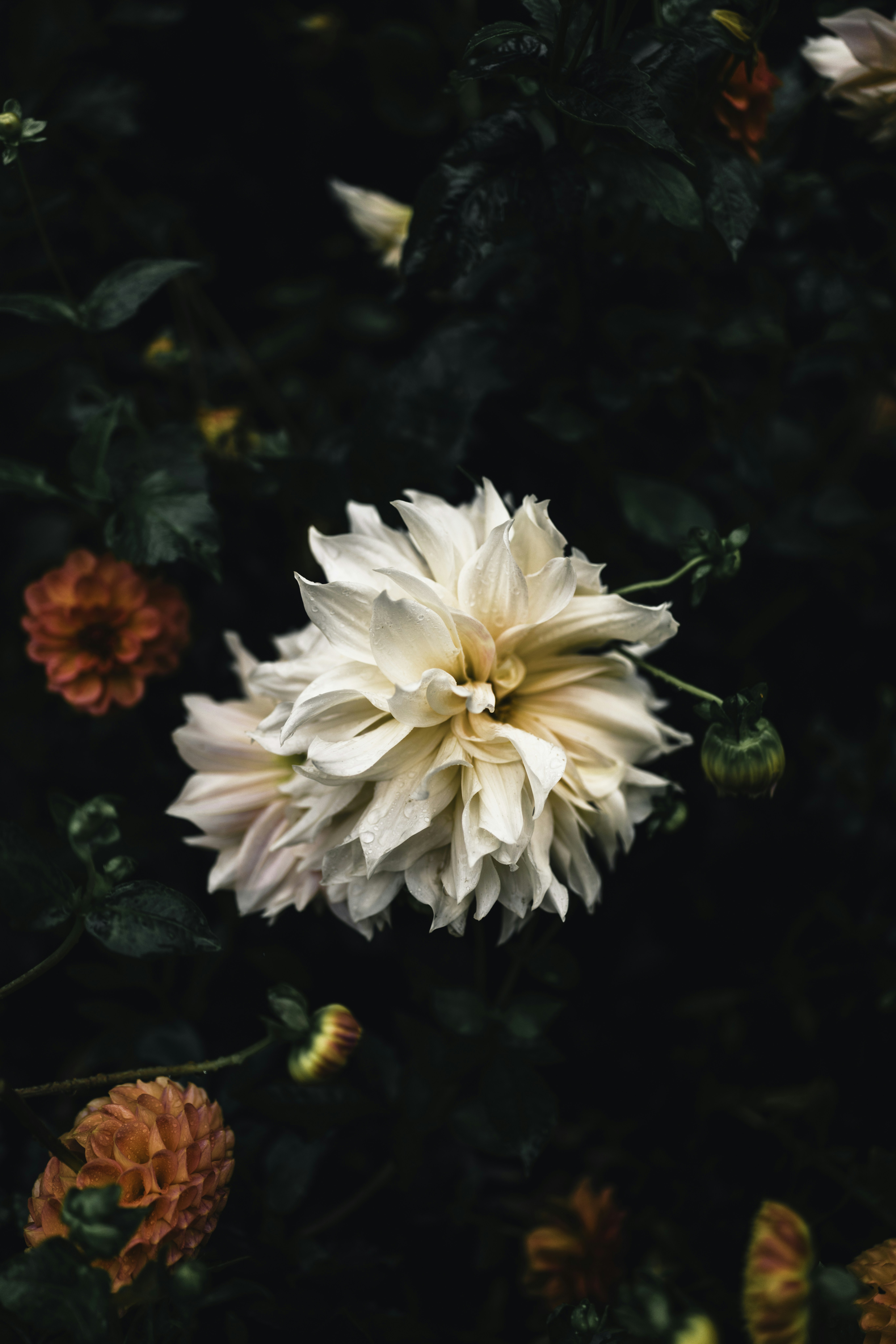 Photo by lureofadventure