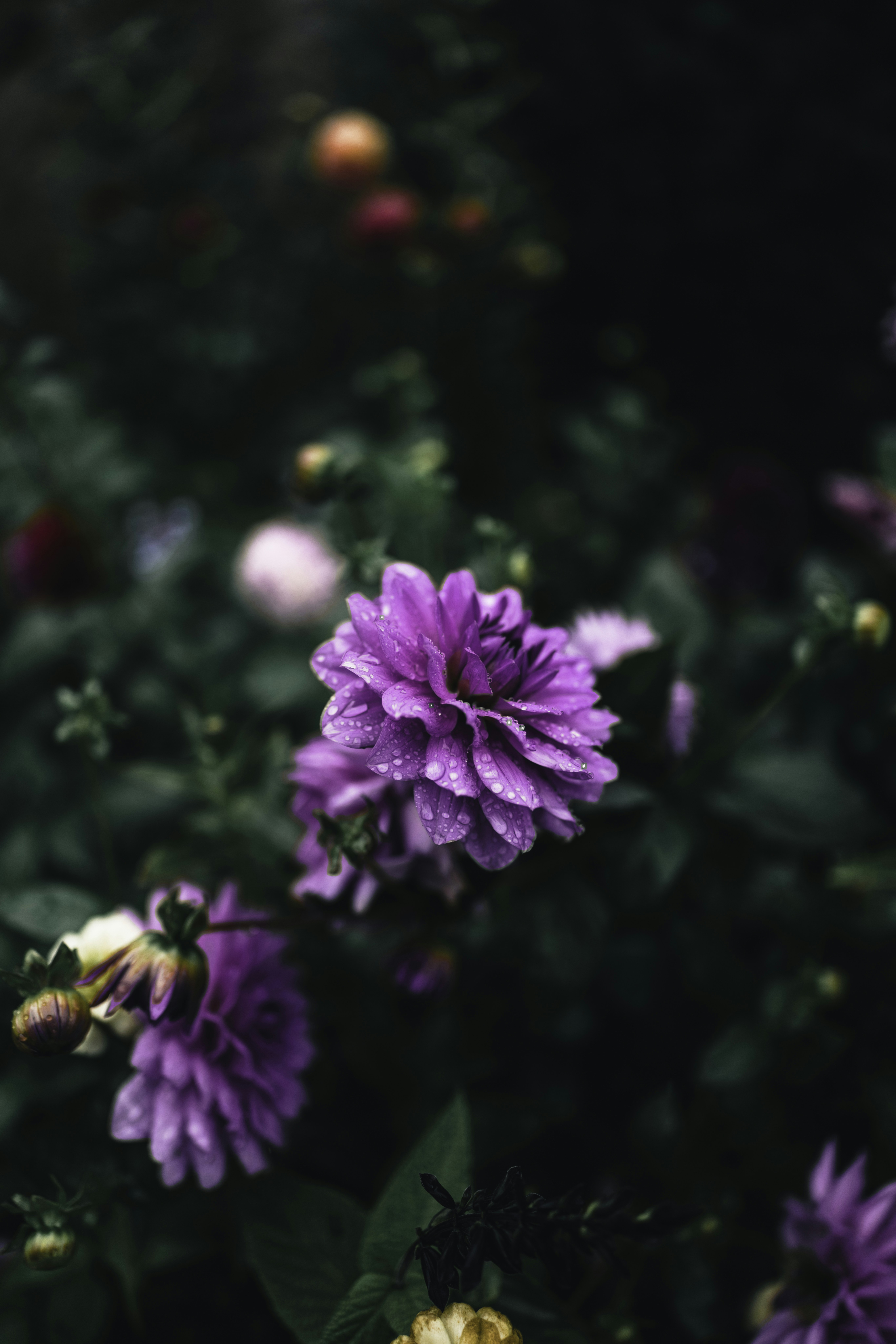 Photo by lureofadventure