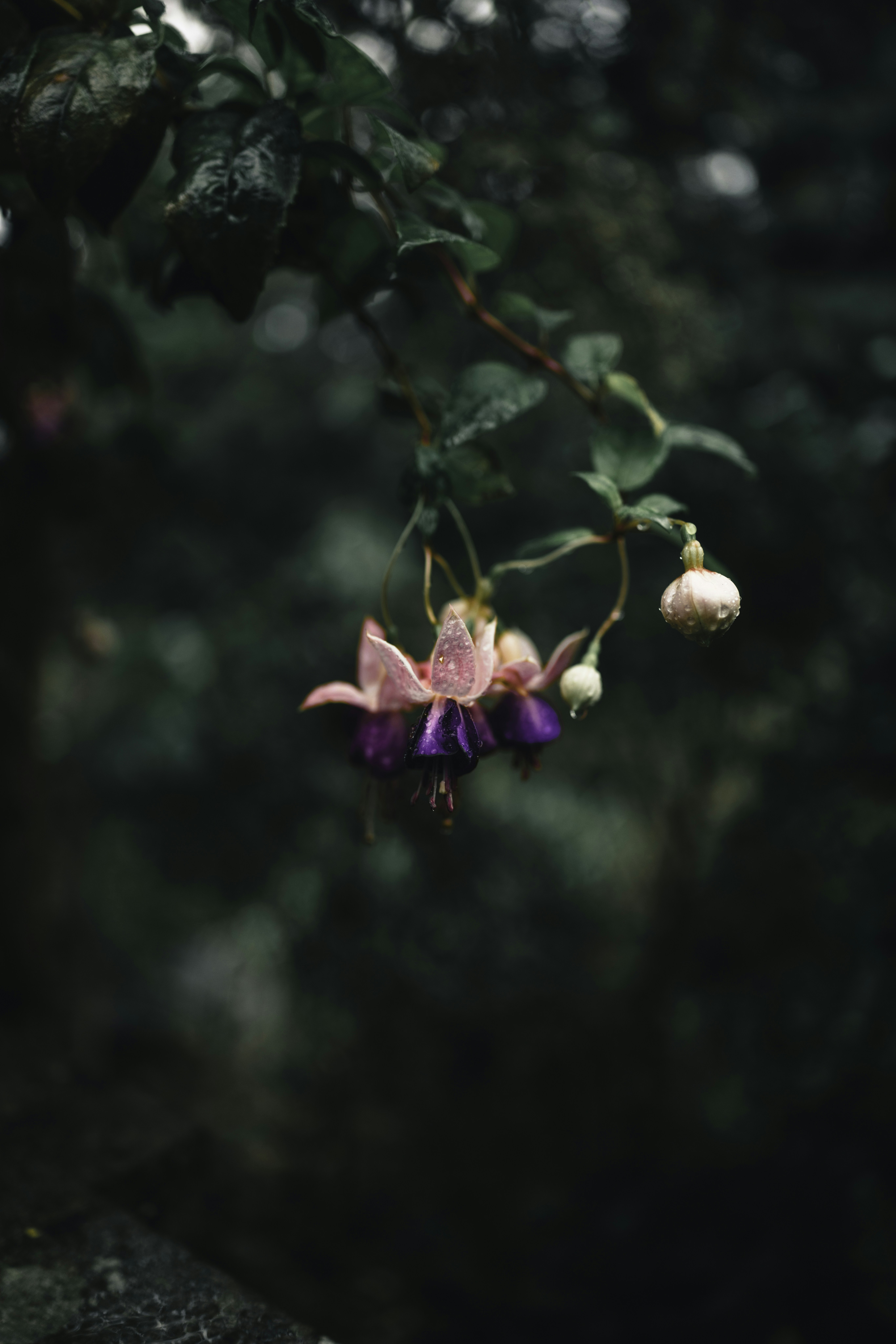 Photo by lureofadventure