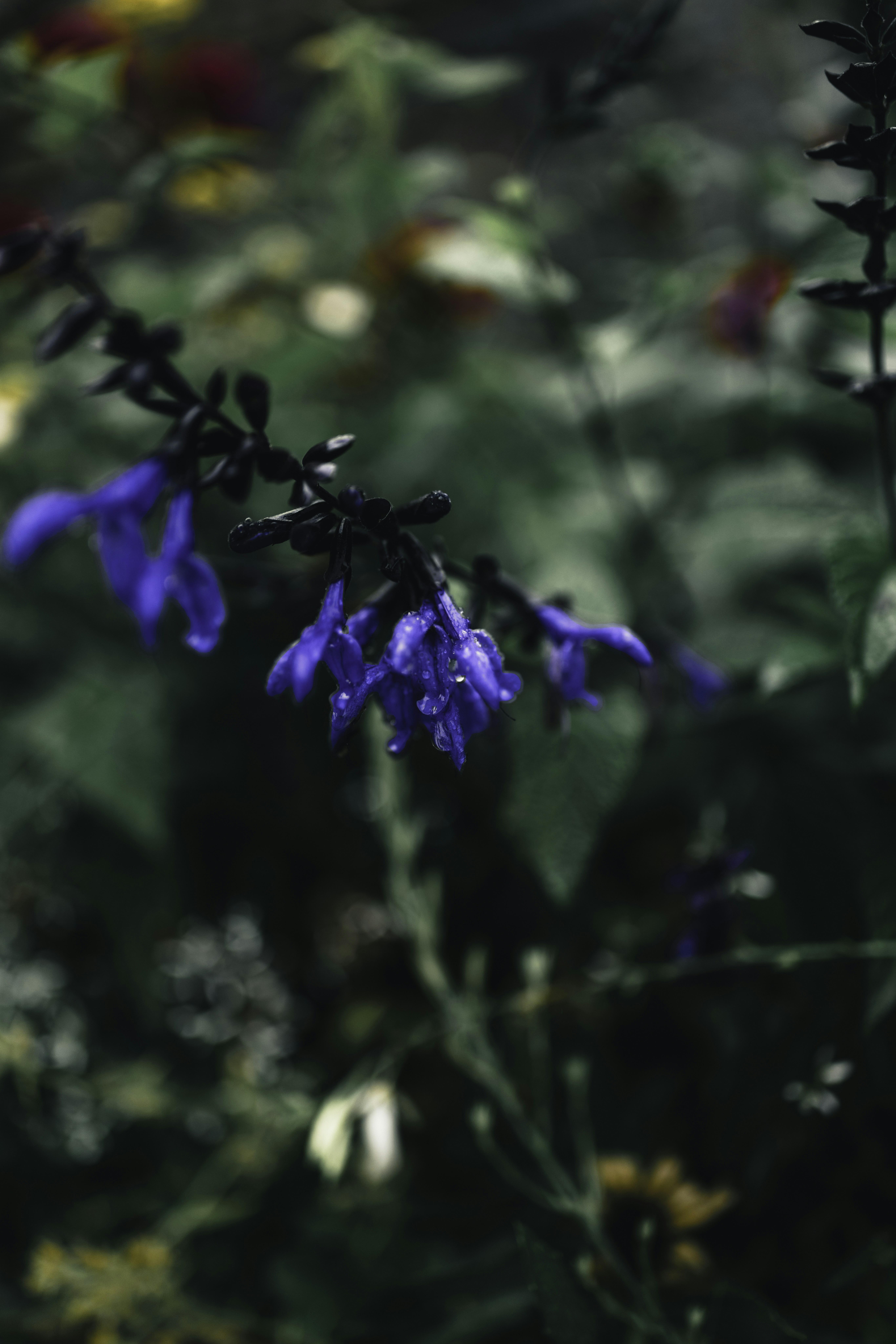 Photo by lureofadventure