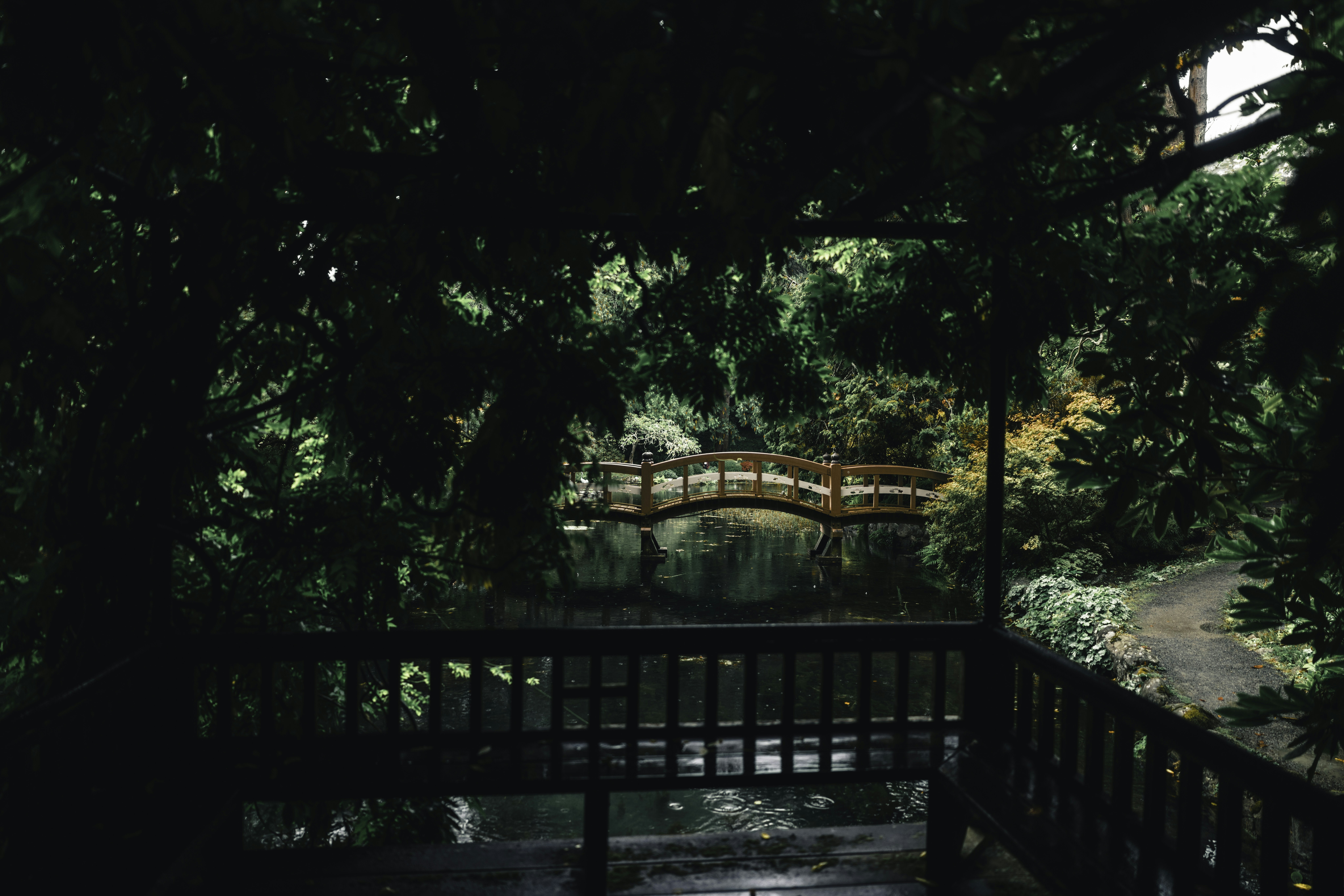 Photo by lureofadventure