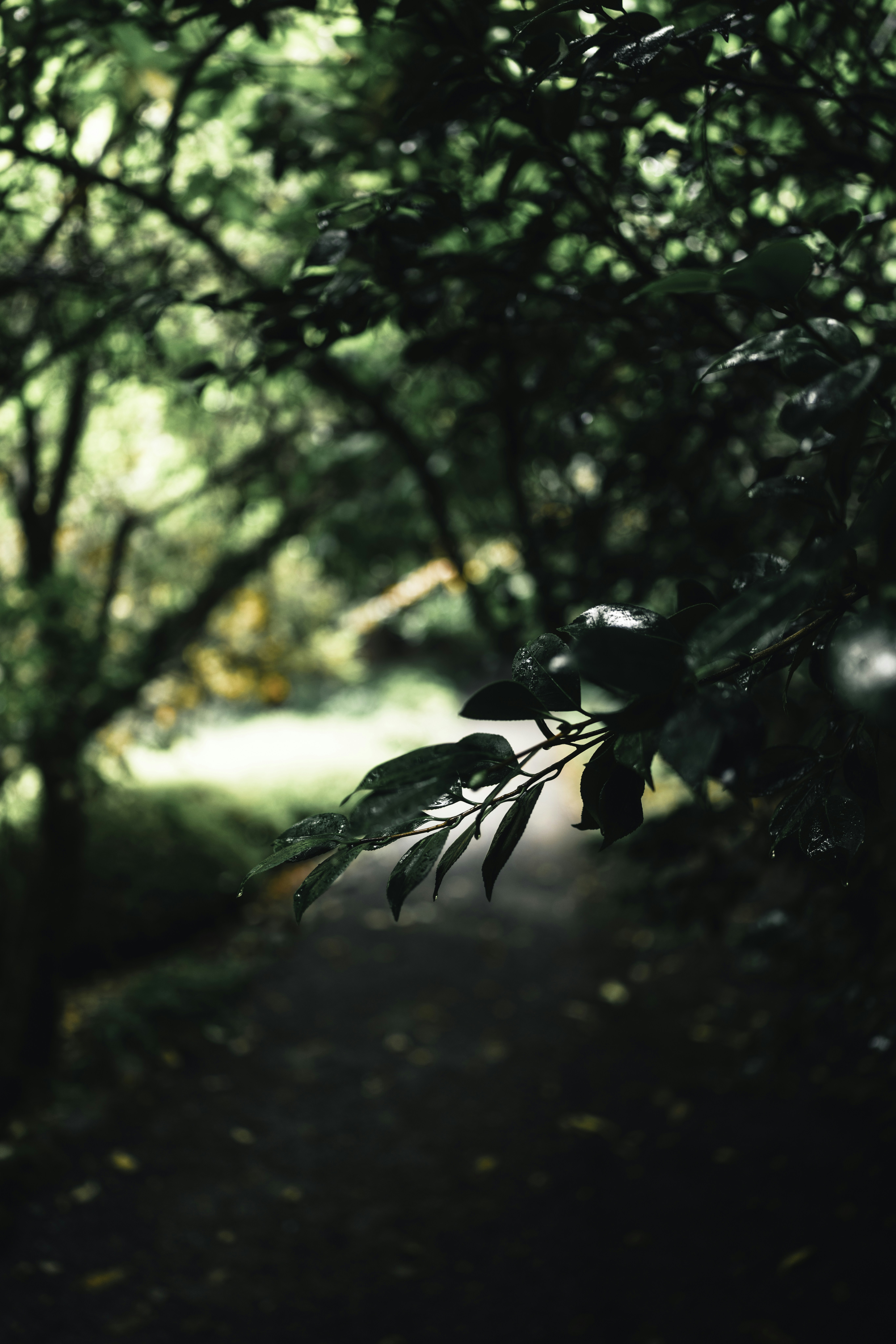 Photo by lureofadventure