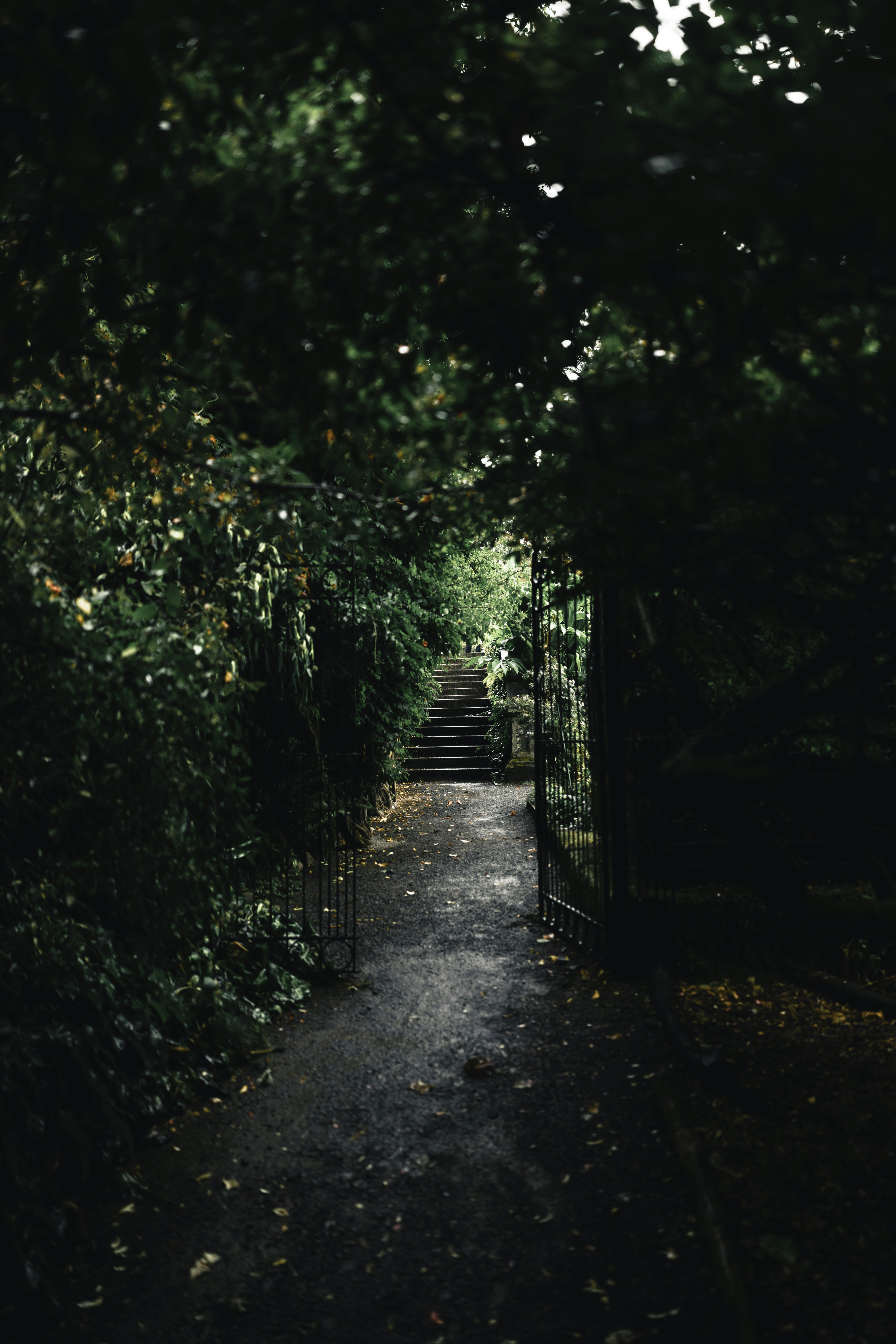 Photo by lureofadventure