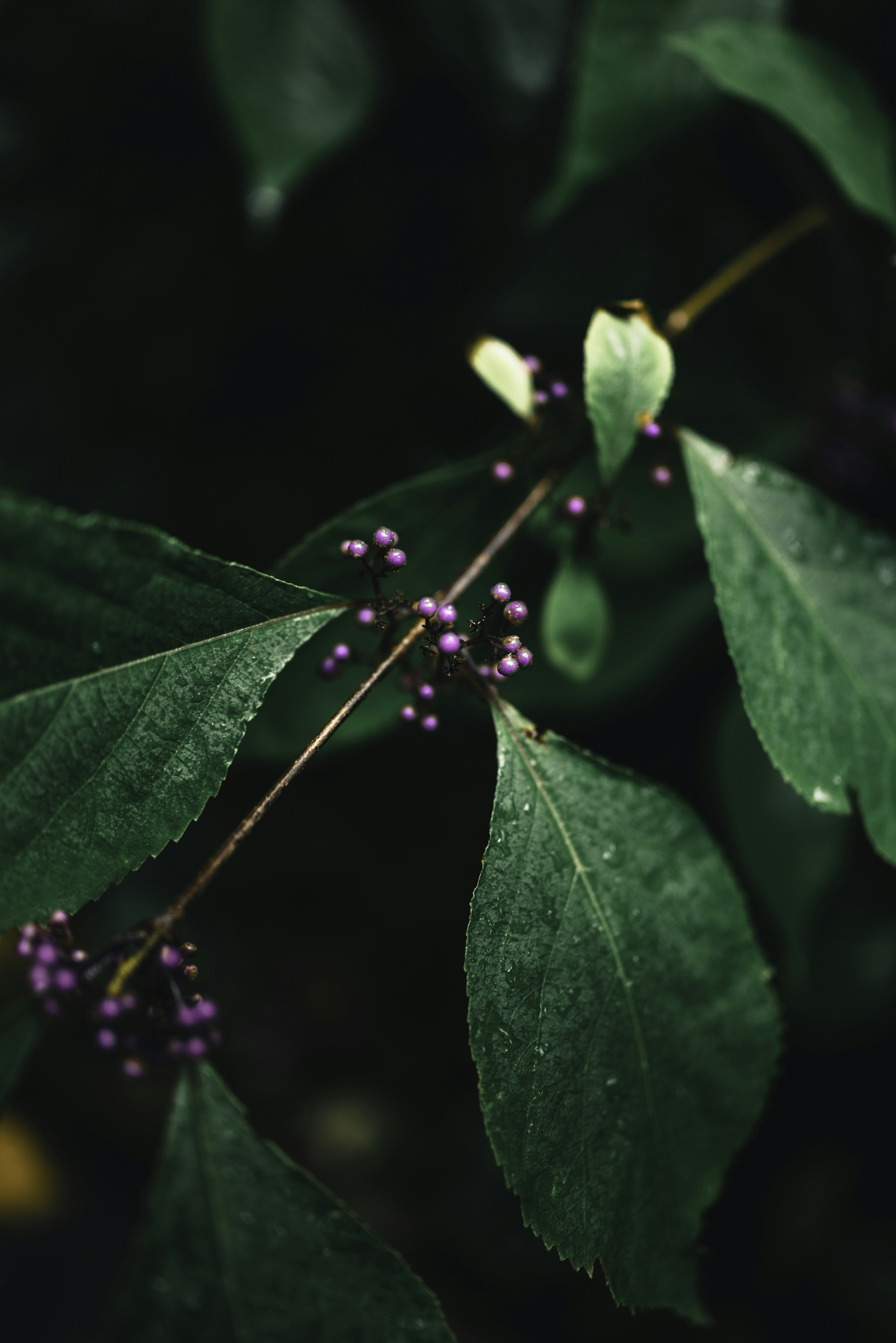 Photo by lureofadventure