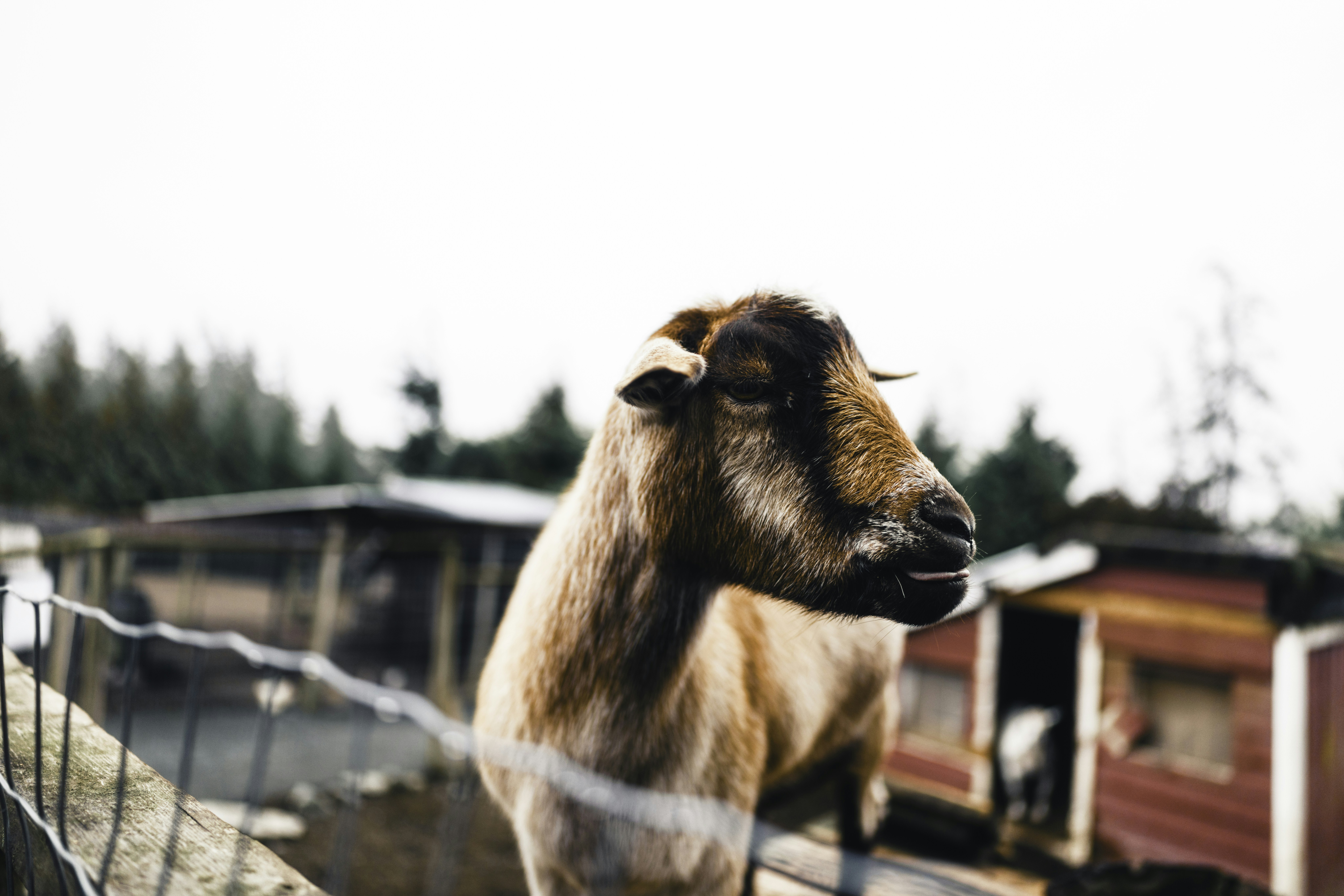 Photo by lureofadventure