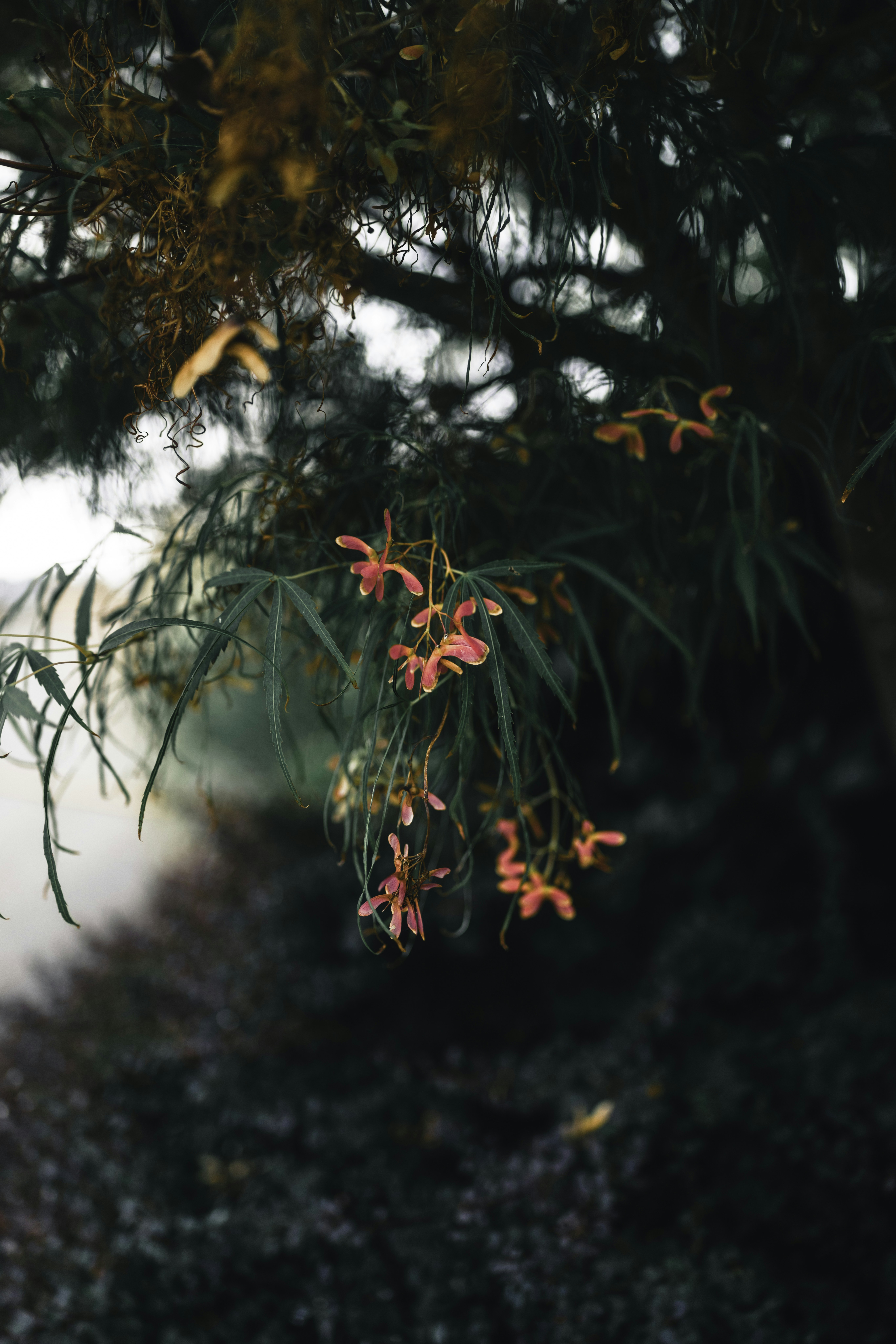 Photo by lureofadventure