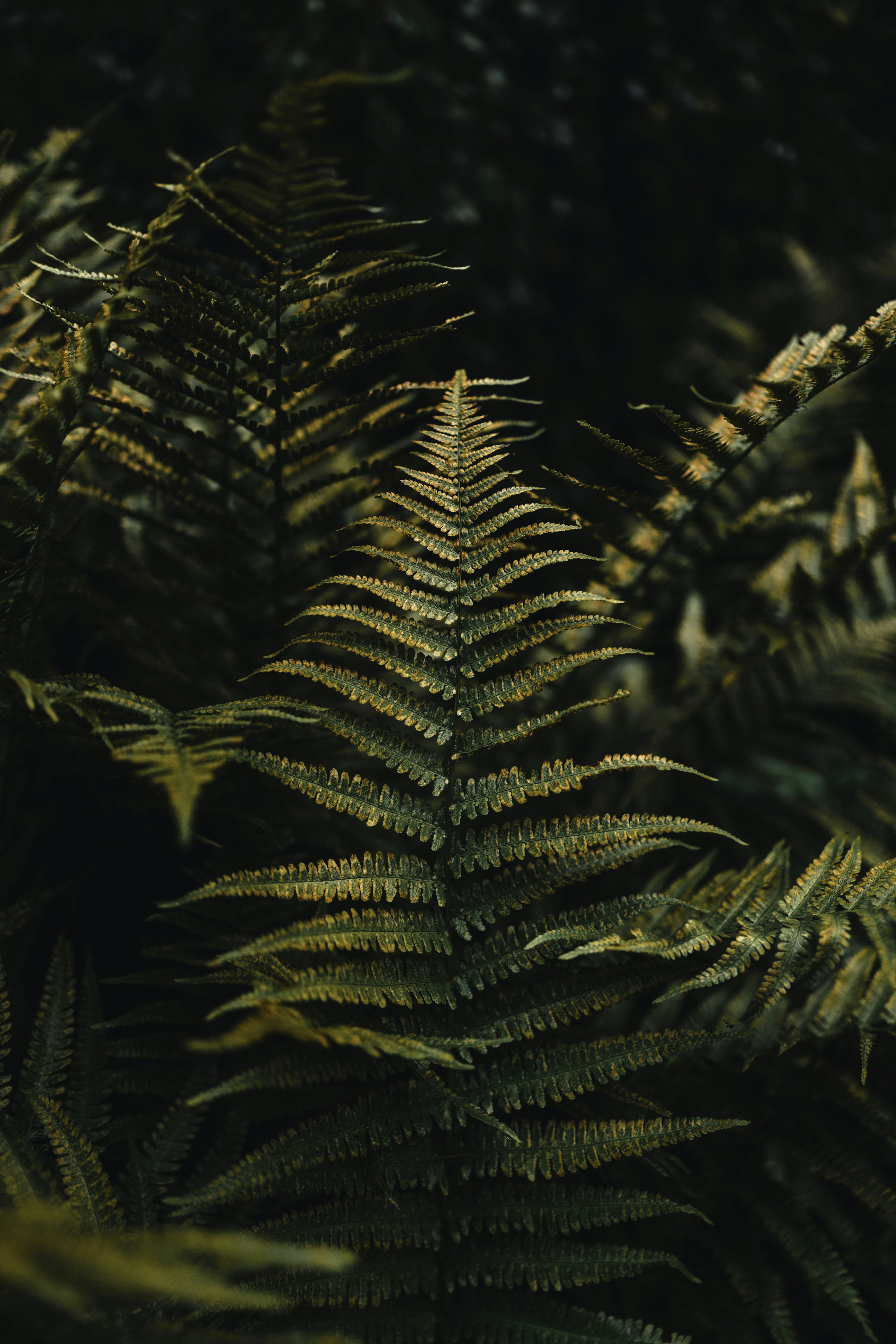 Photo by lureofadventure