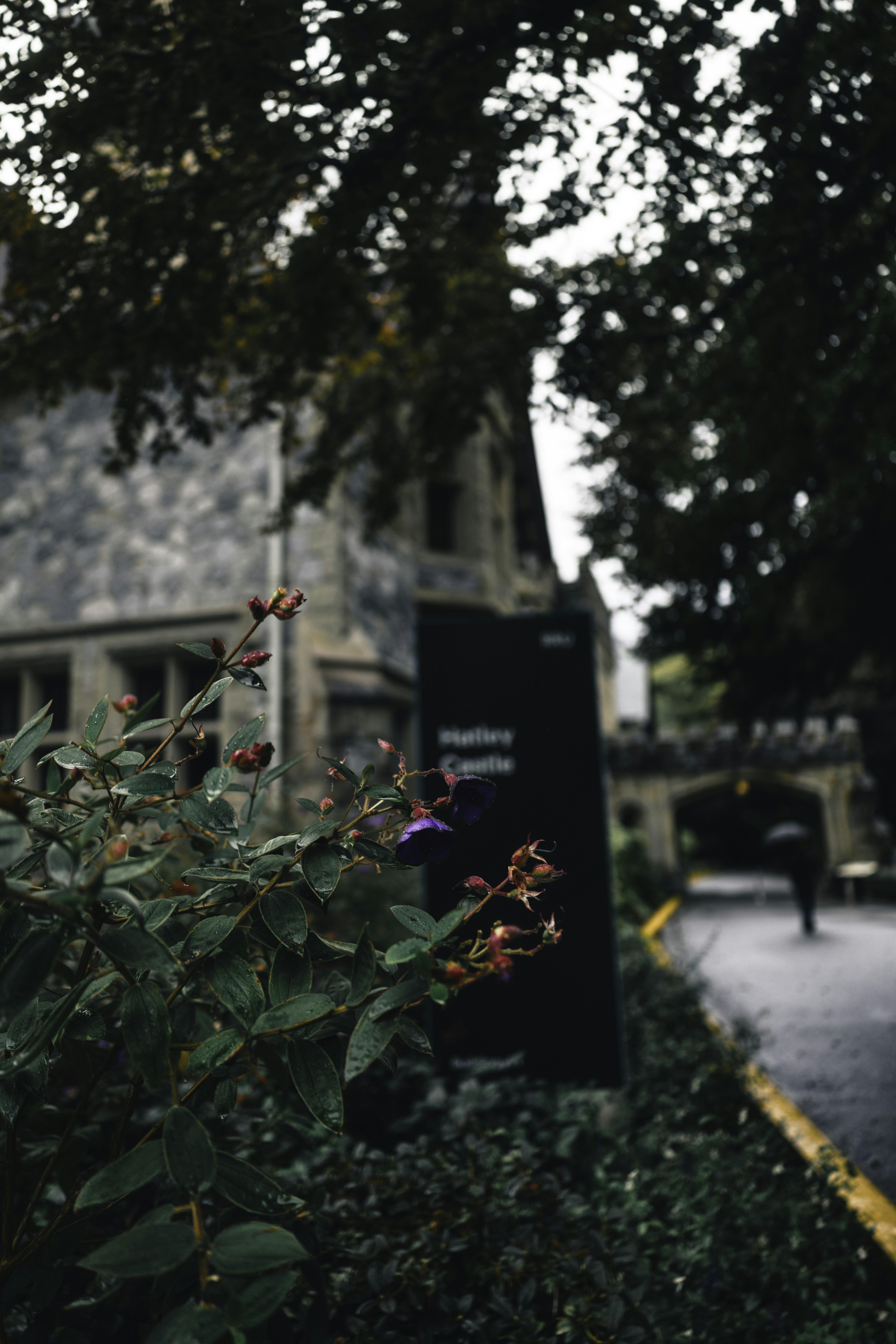 Photo by lureofadventure