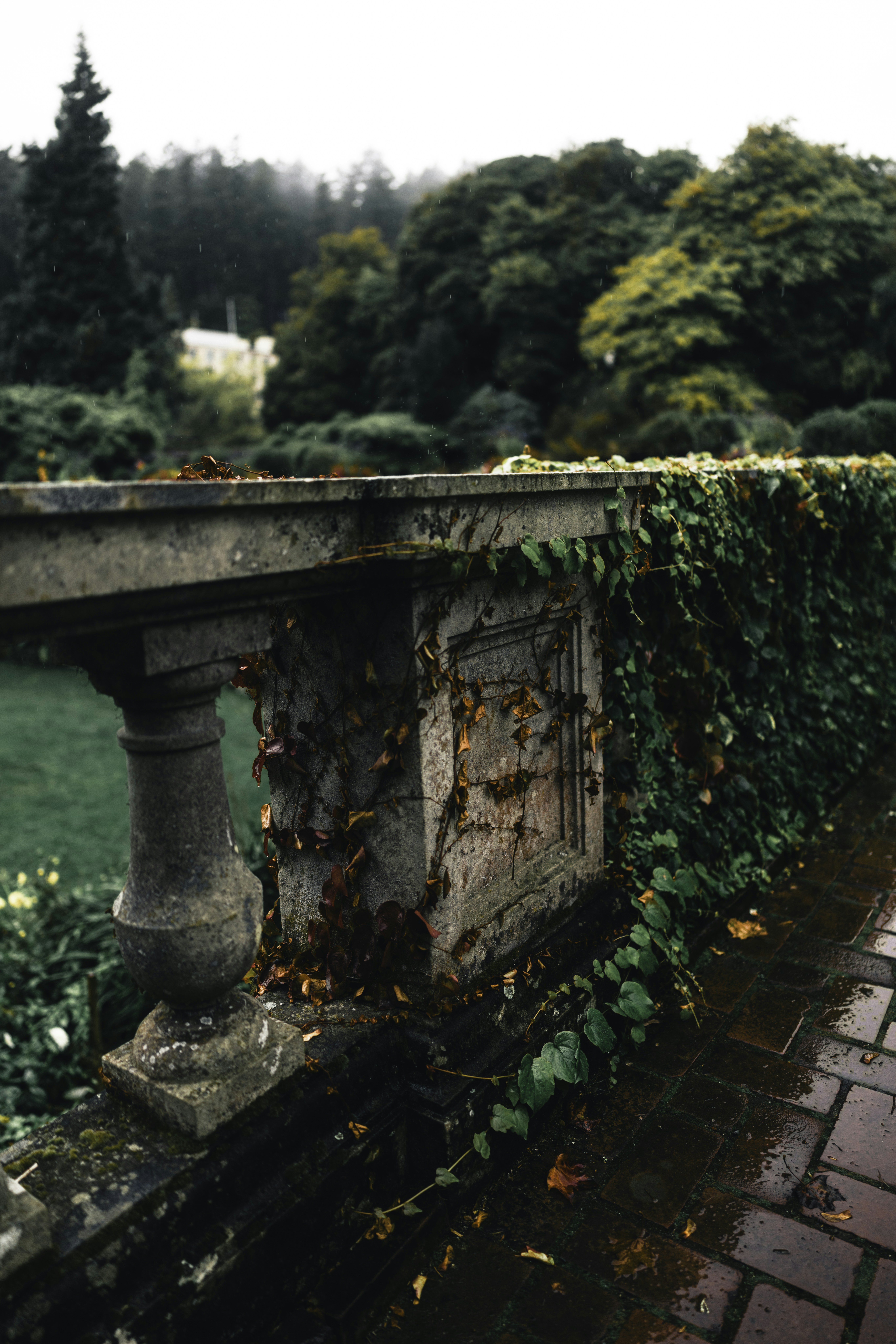 Photo by lureofadventure