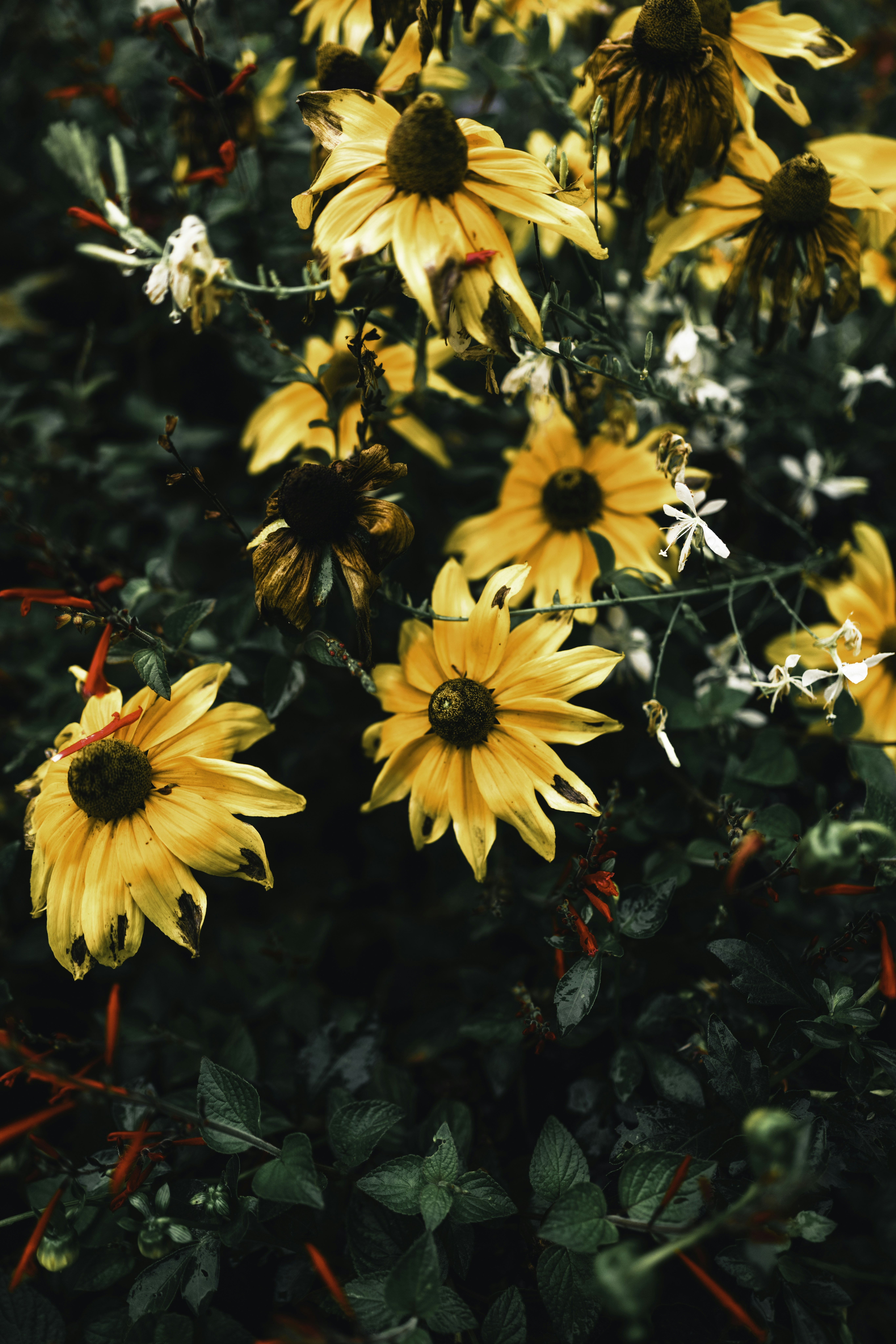 Photo by lureofadventure