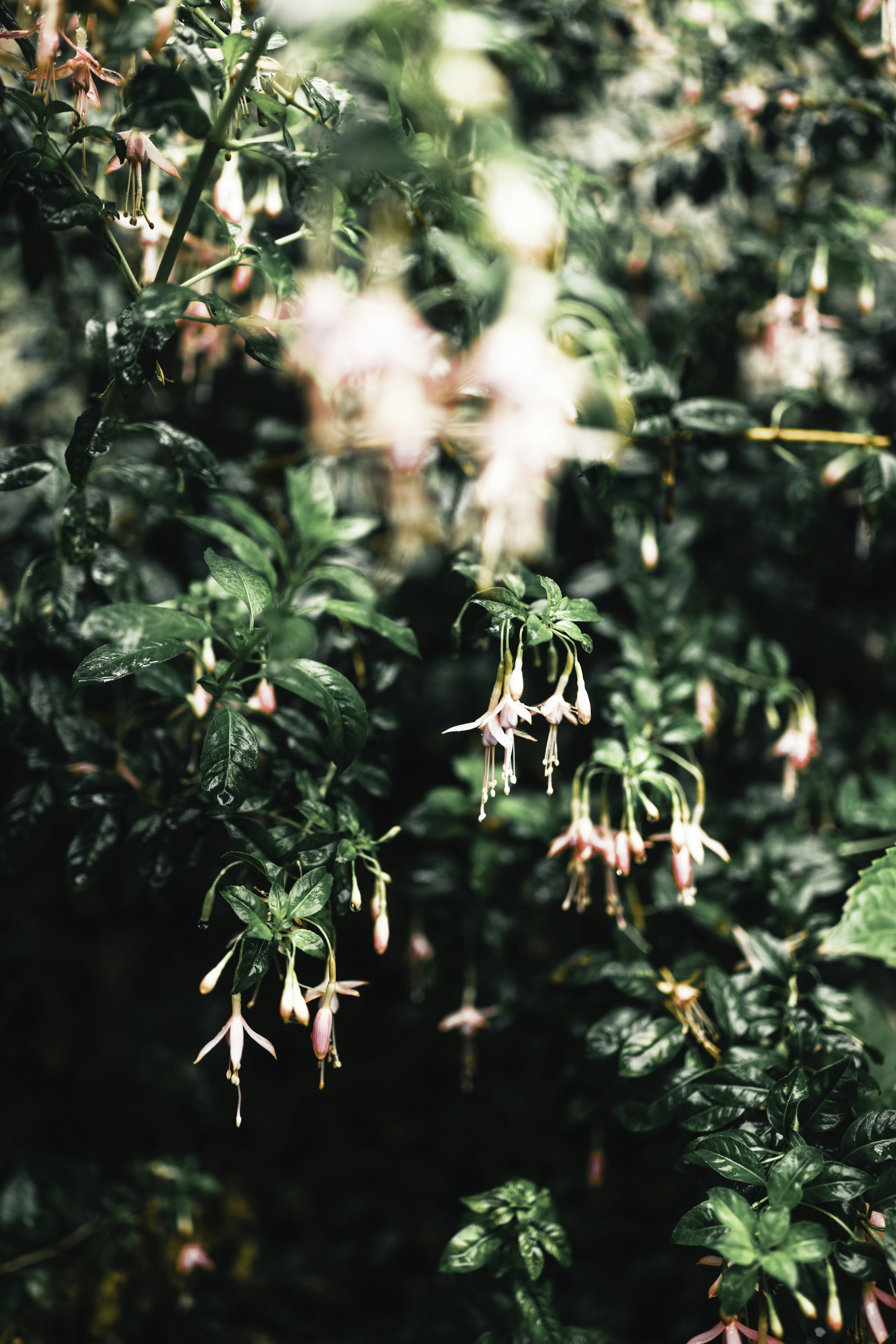 Photo by lureofadventure