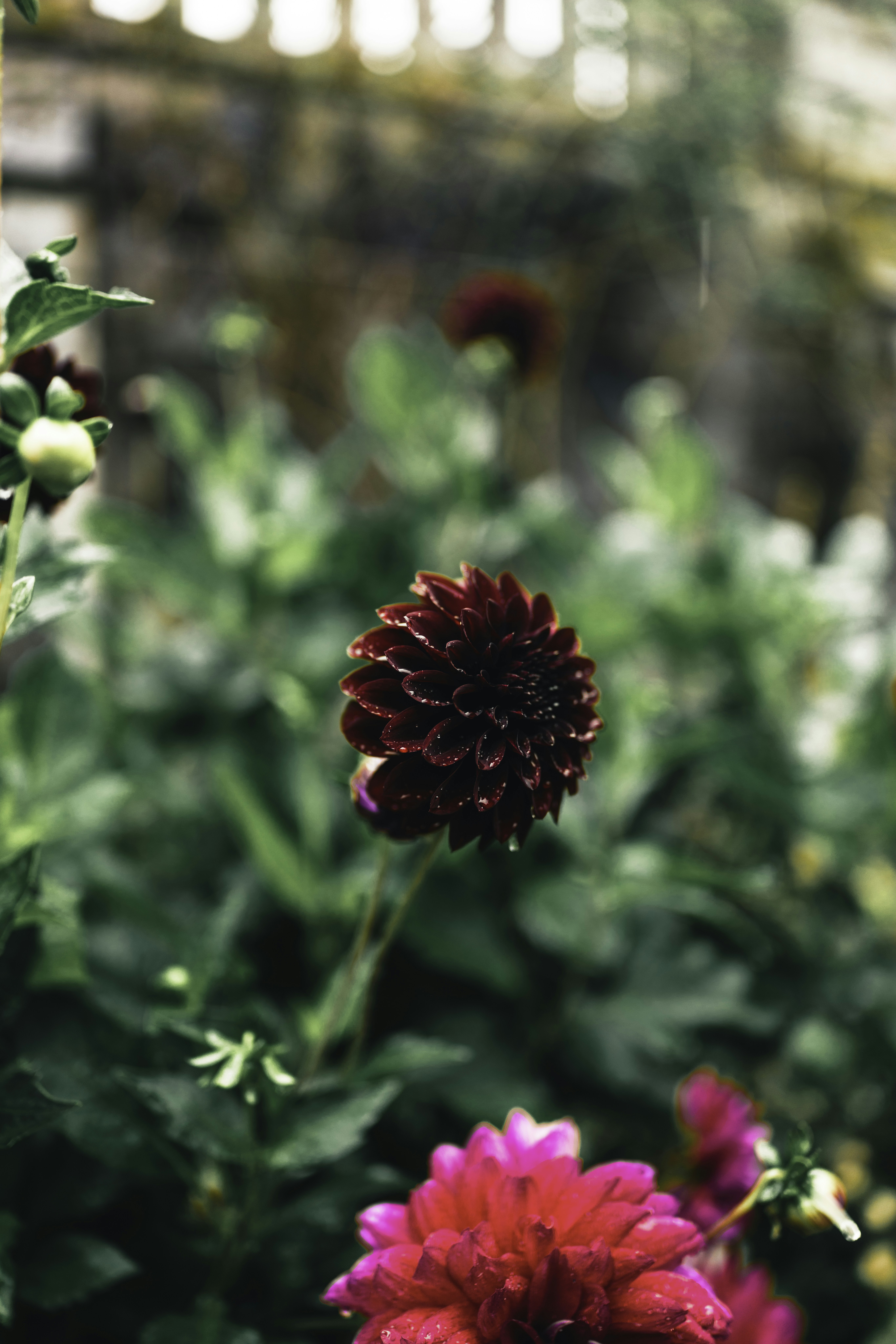 Photo by lureofadventure