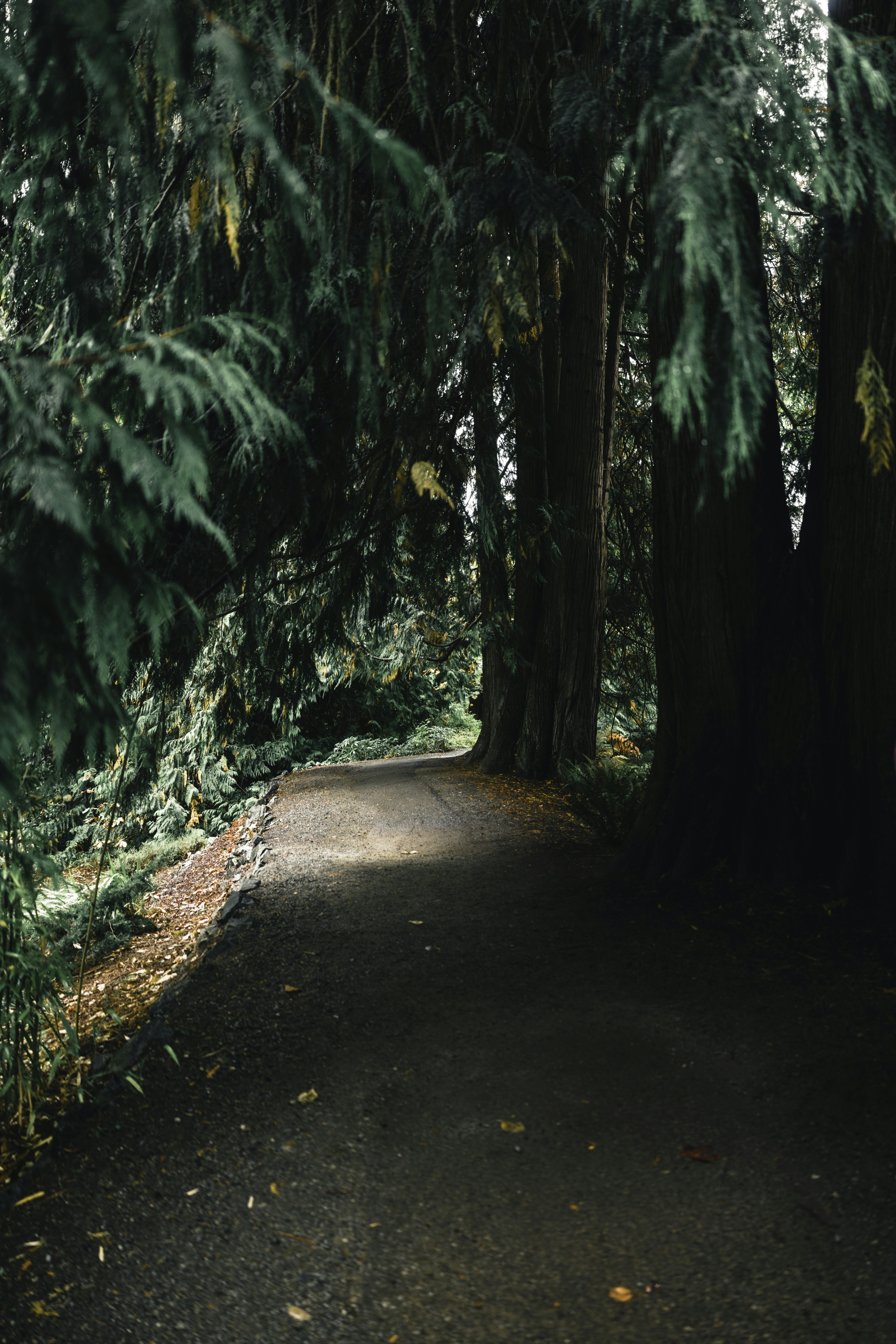 Photo by lureofadventure