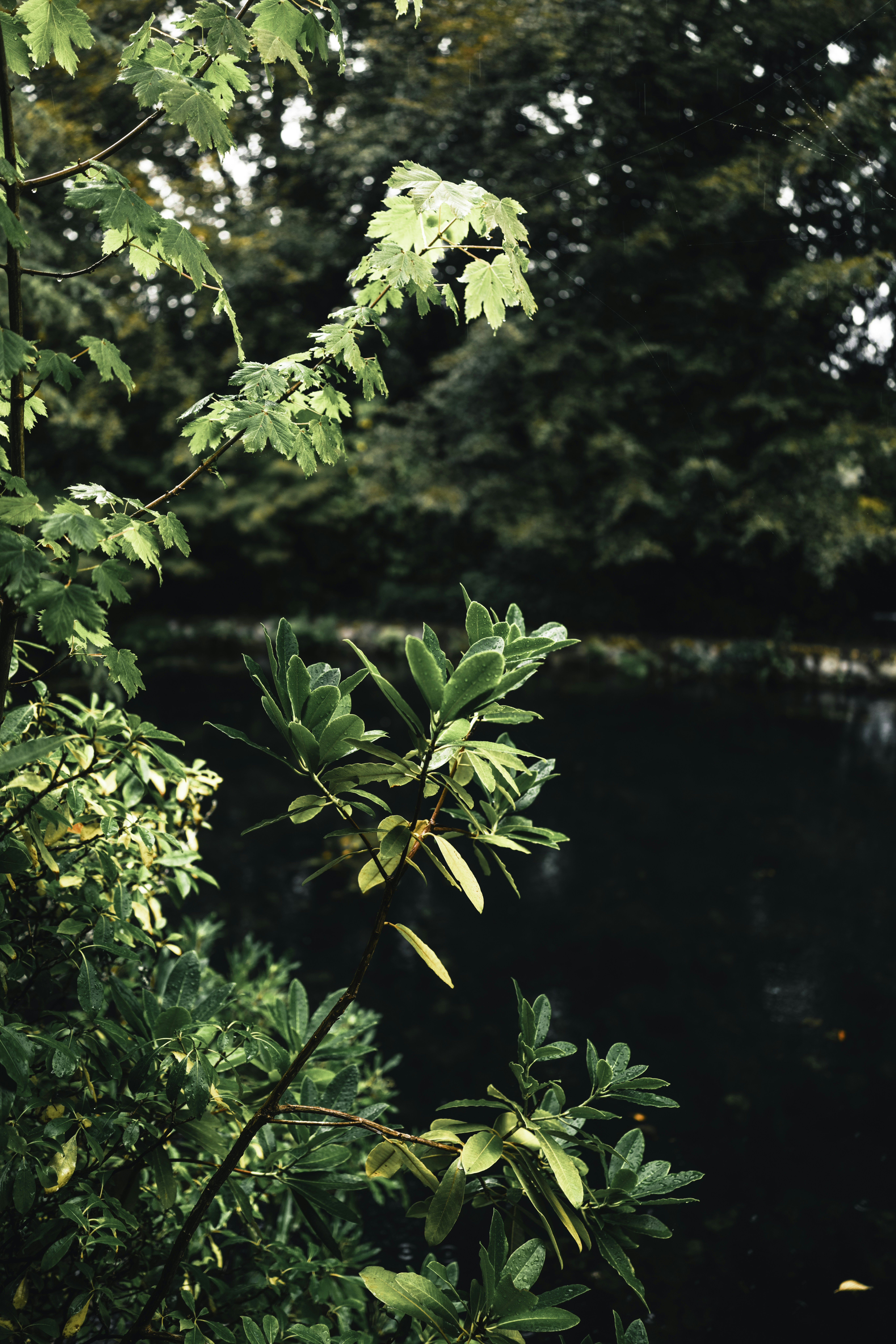 Photo by lureofadventure