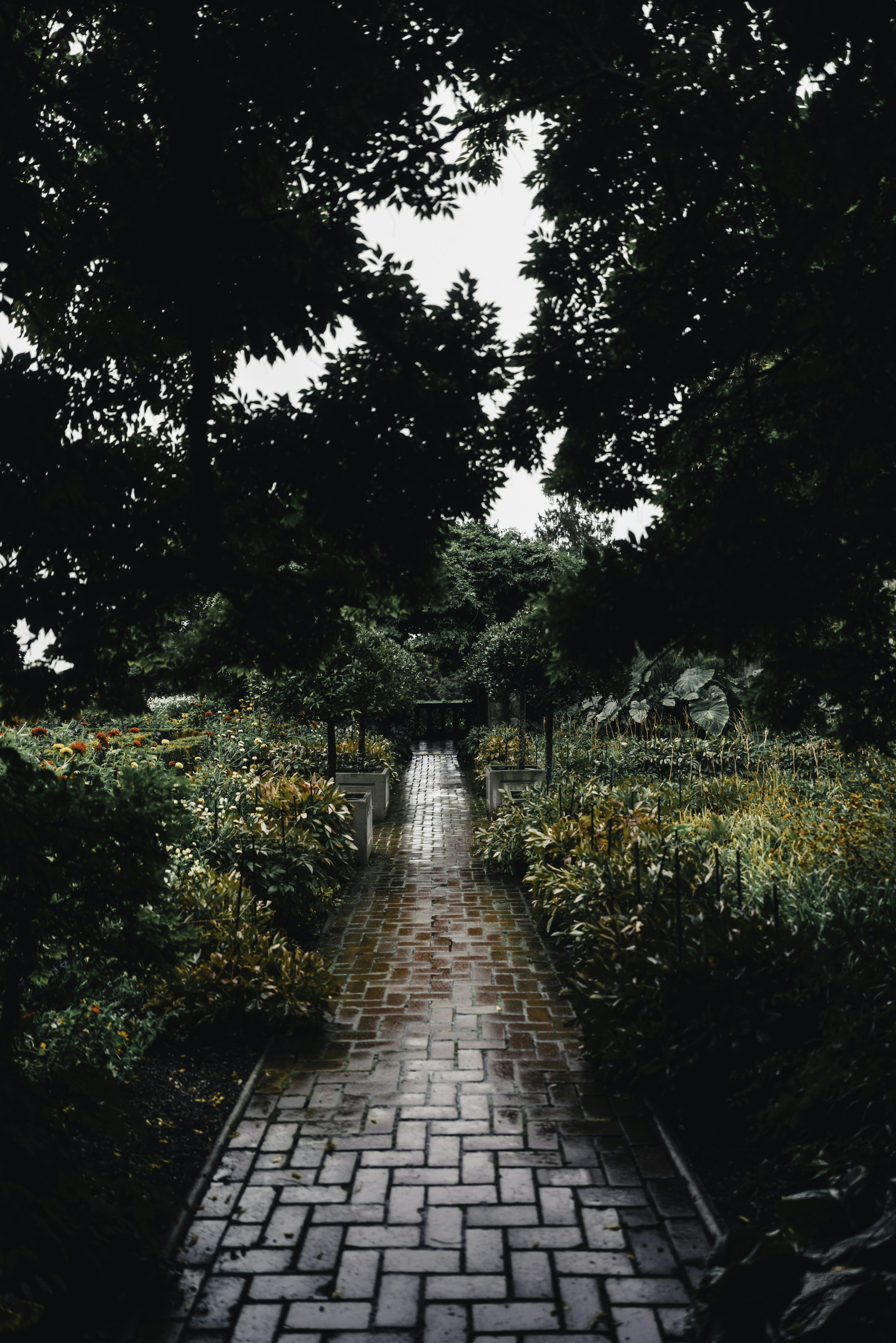 Photo by lureofadventure