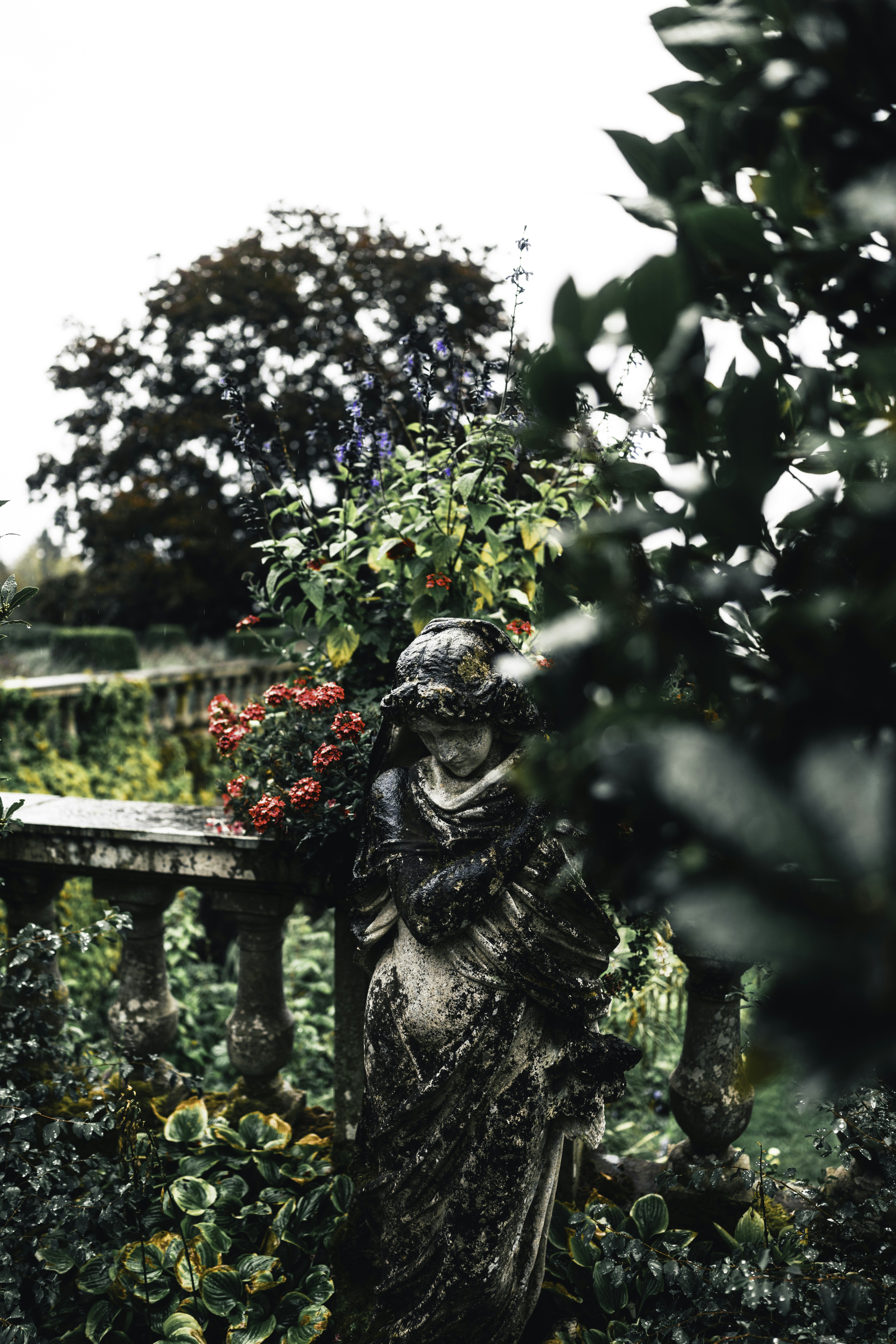 Photo by lureofadventure