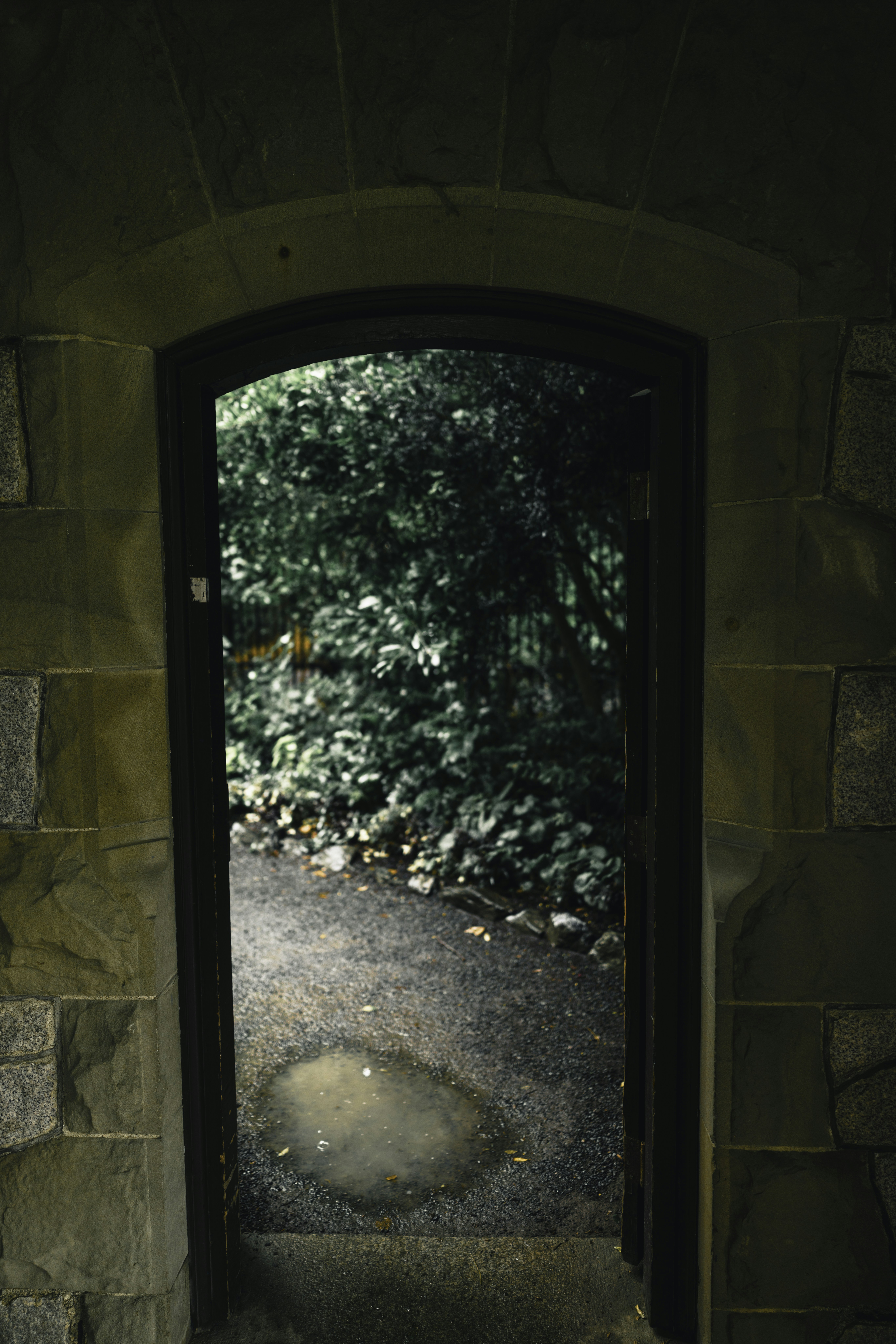 Photo by lureofadventure