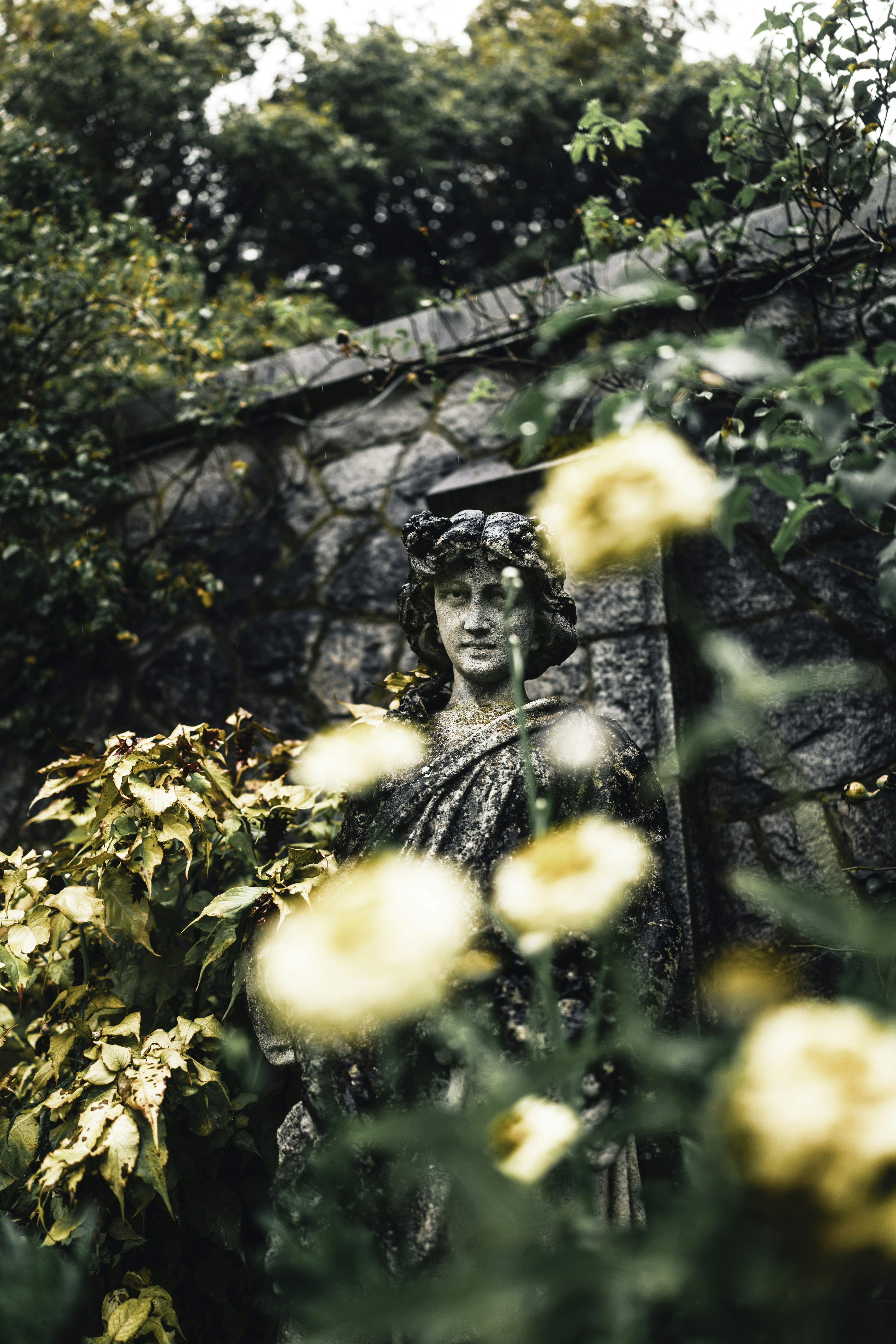 Photo by lureofadventure