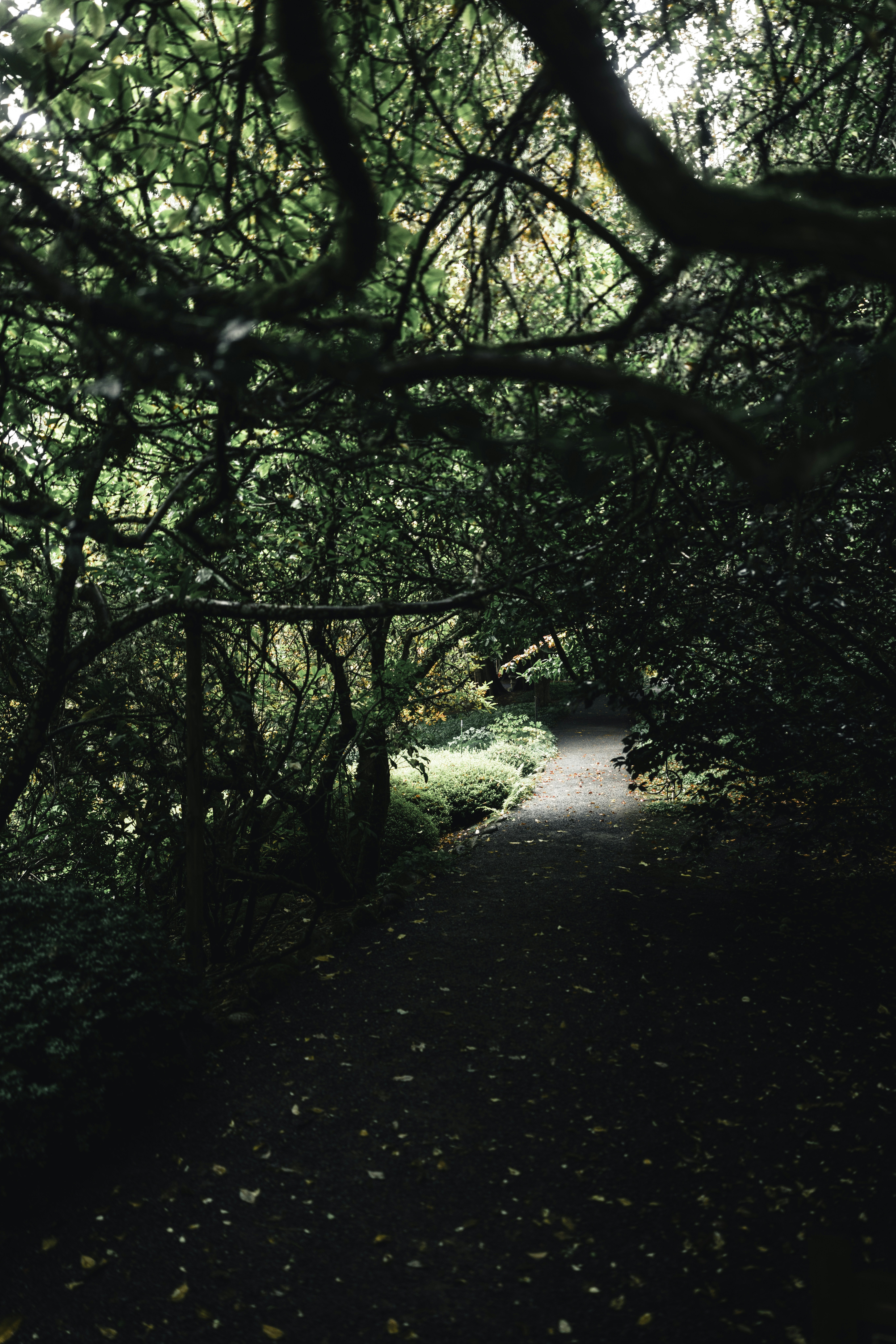 Photo by lureofadventure