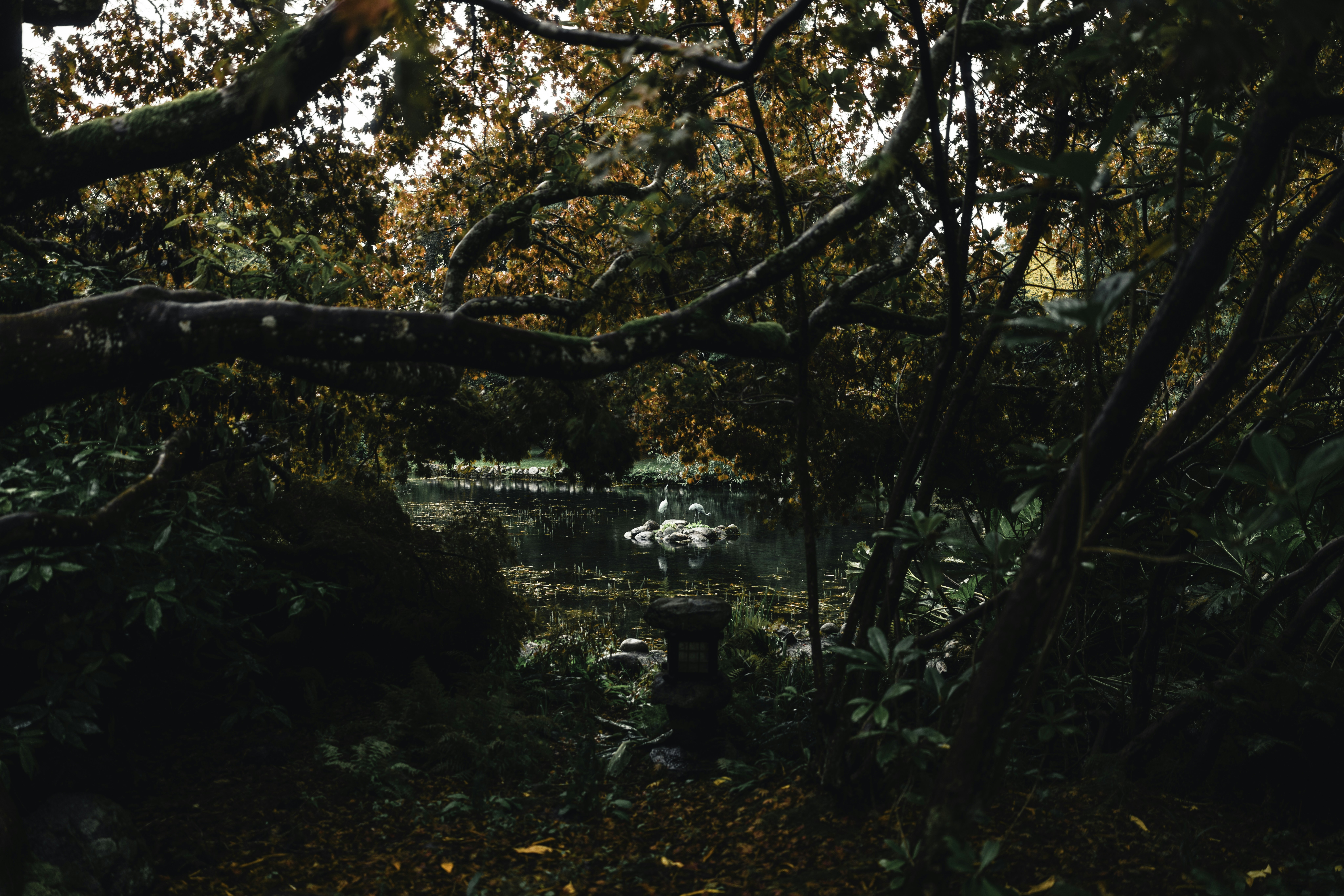 Photo by lureofadventure