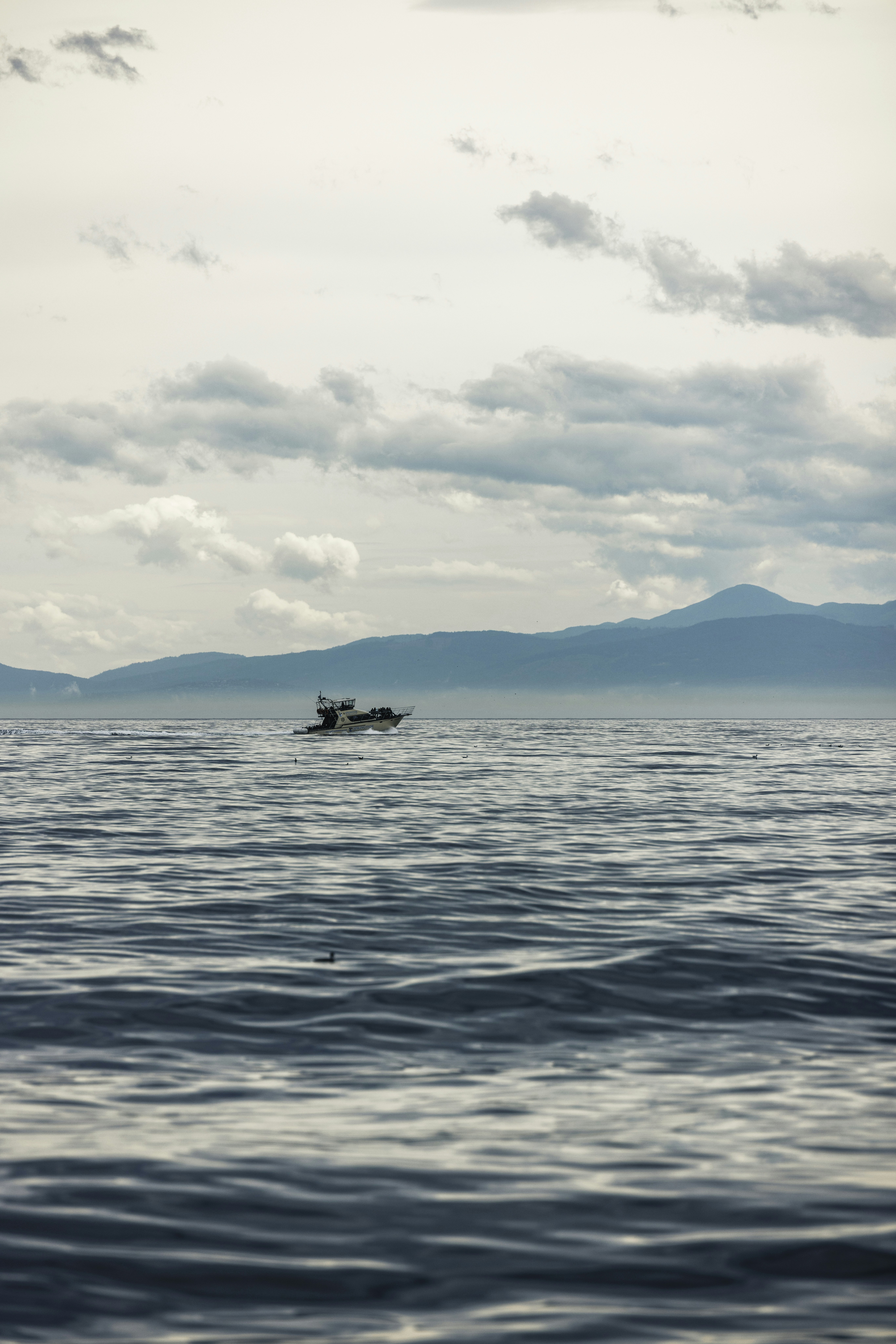 Photo by lureofadventure