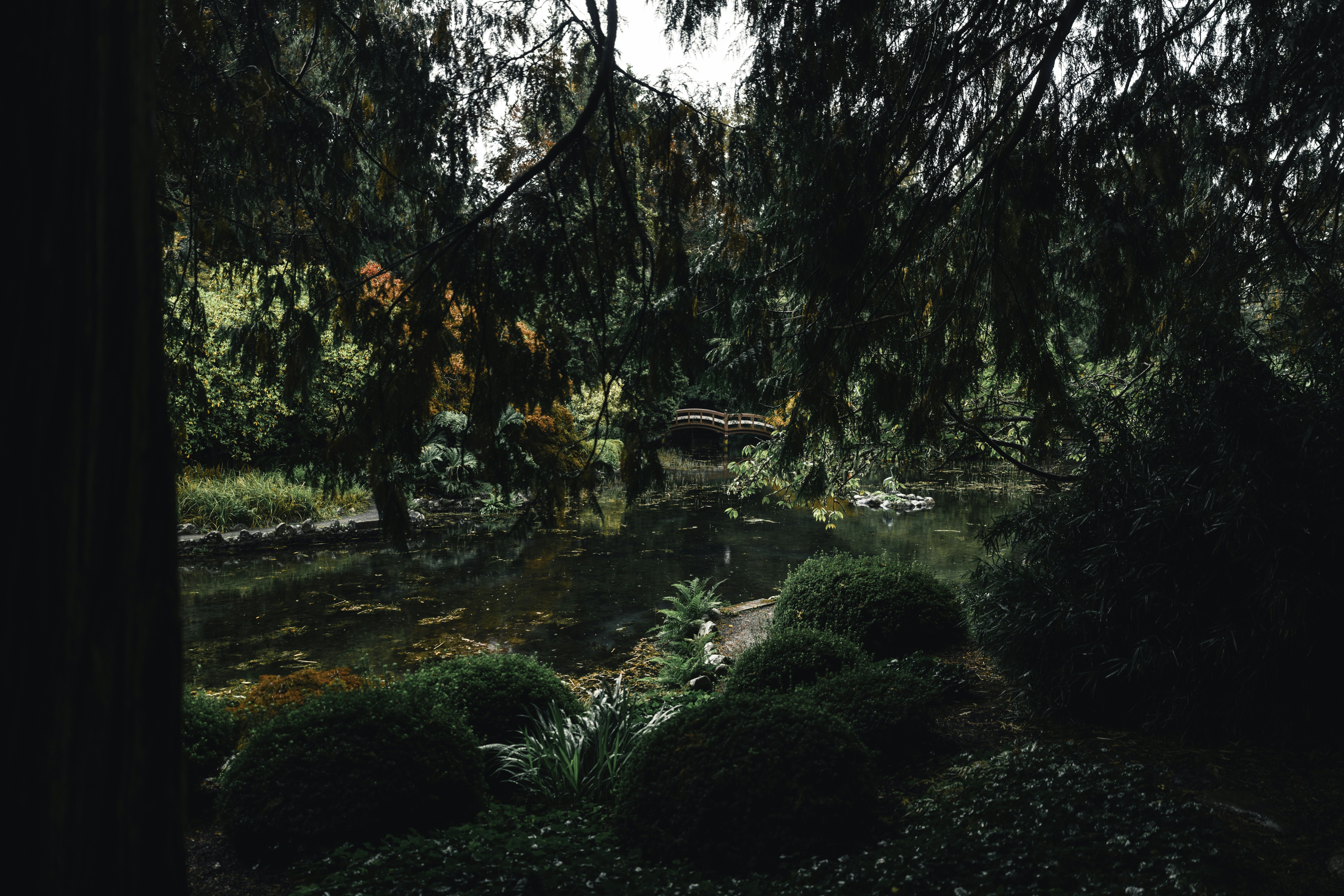 Photo by lureofadventure