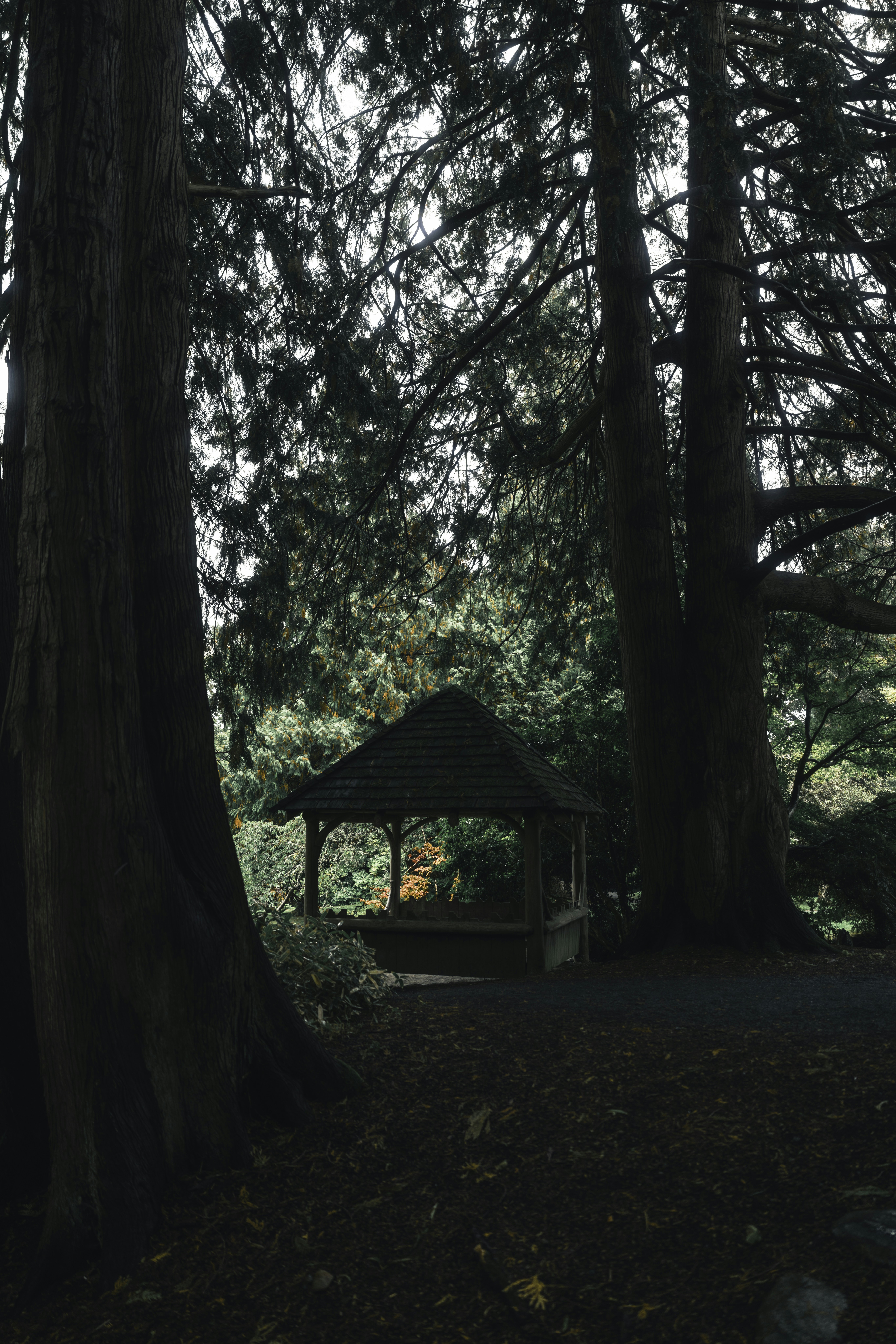 Photo by lureofadventure