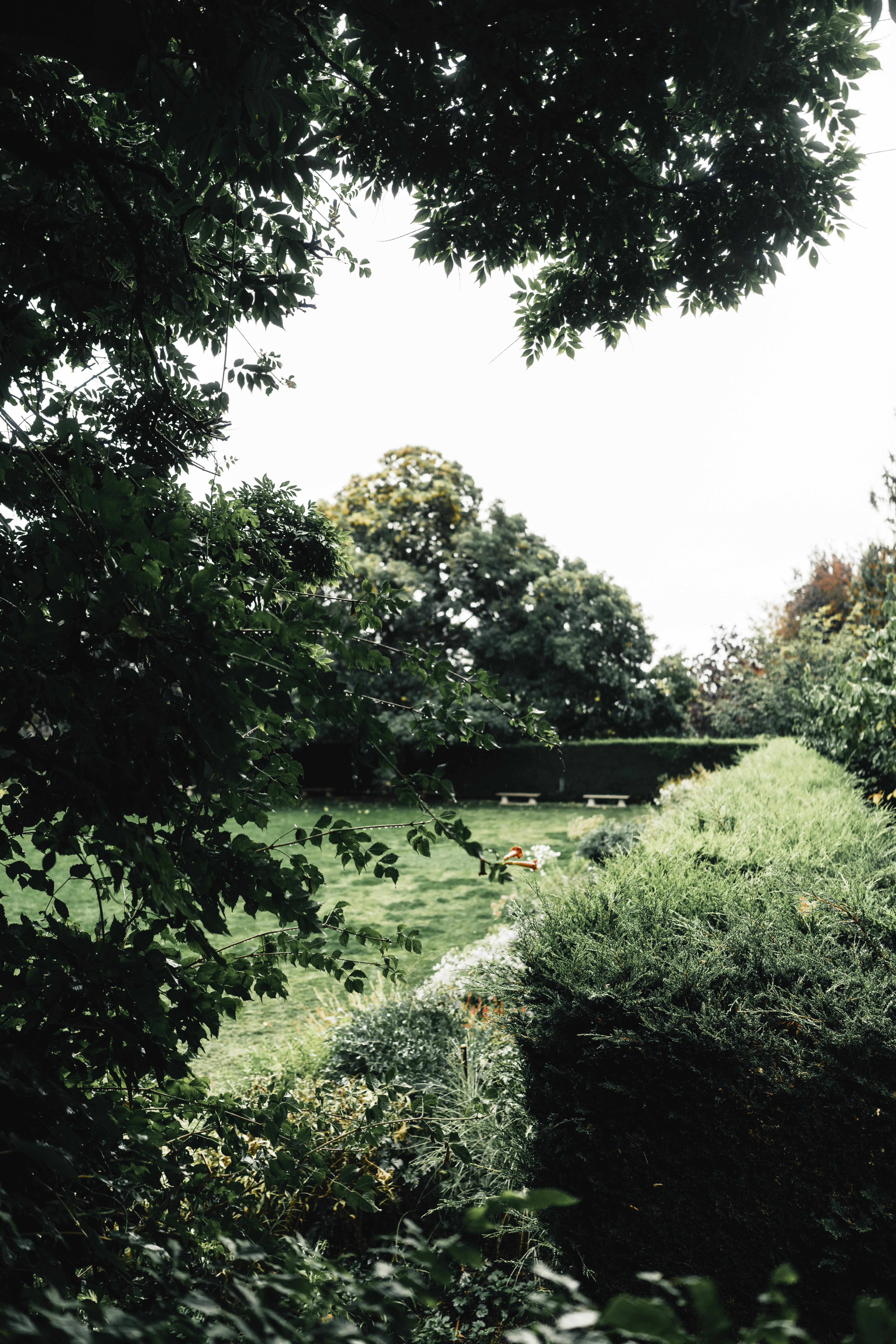 Photo by lureofadventure