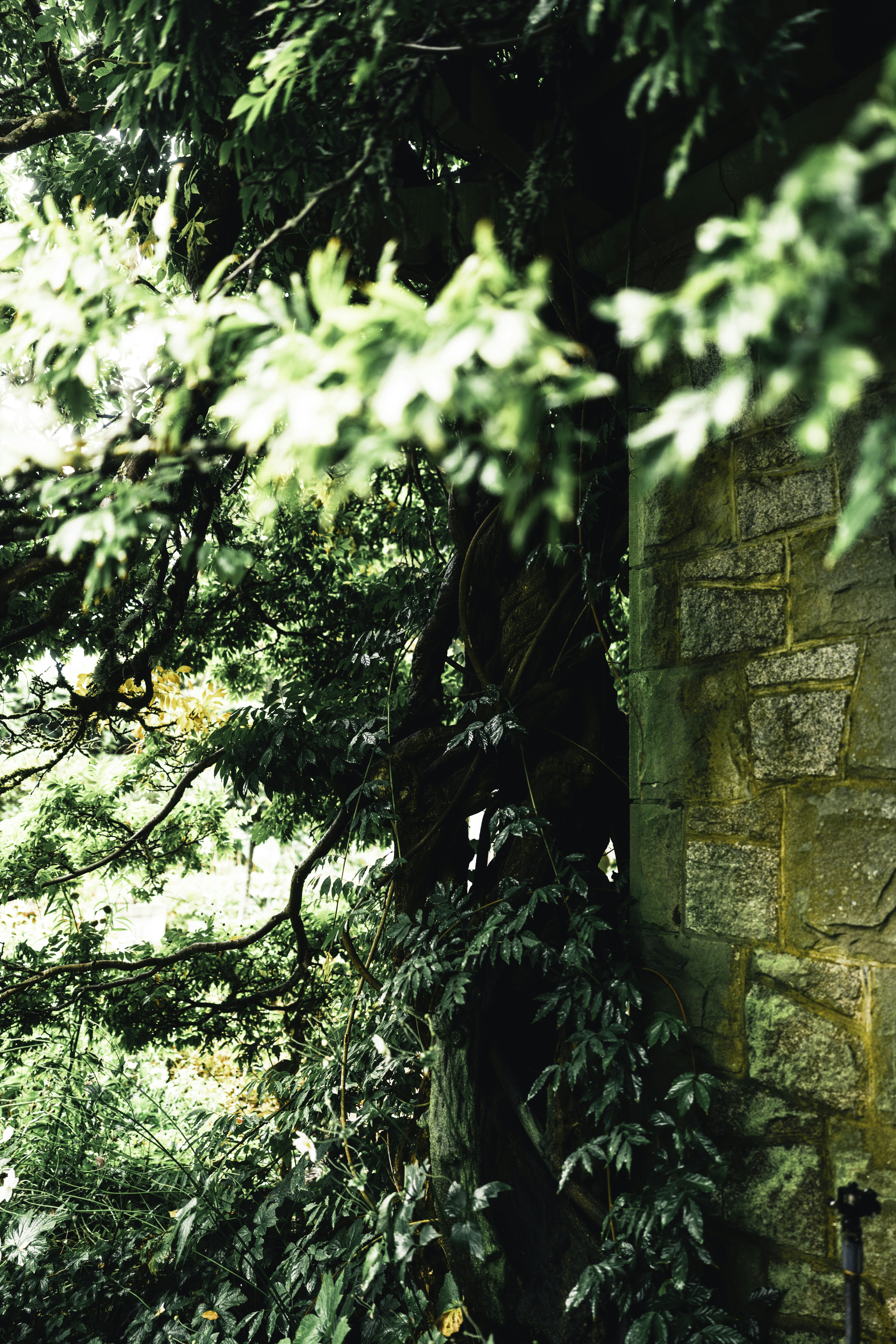 Photo by lureofadventure