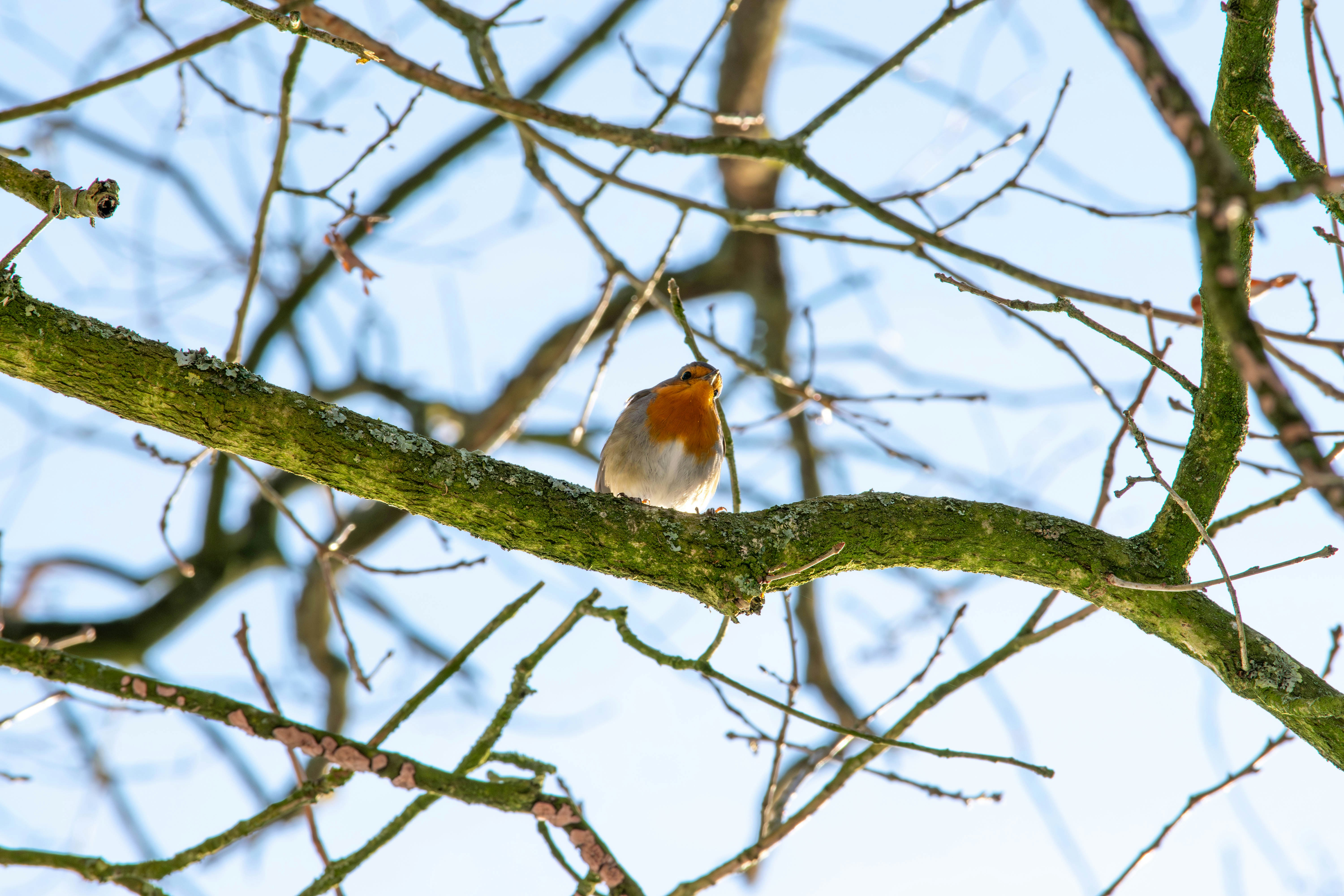 Photo by tea_in_deventer