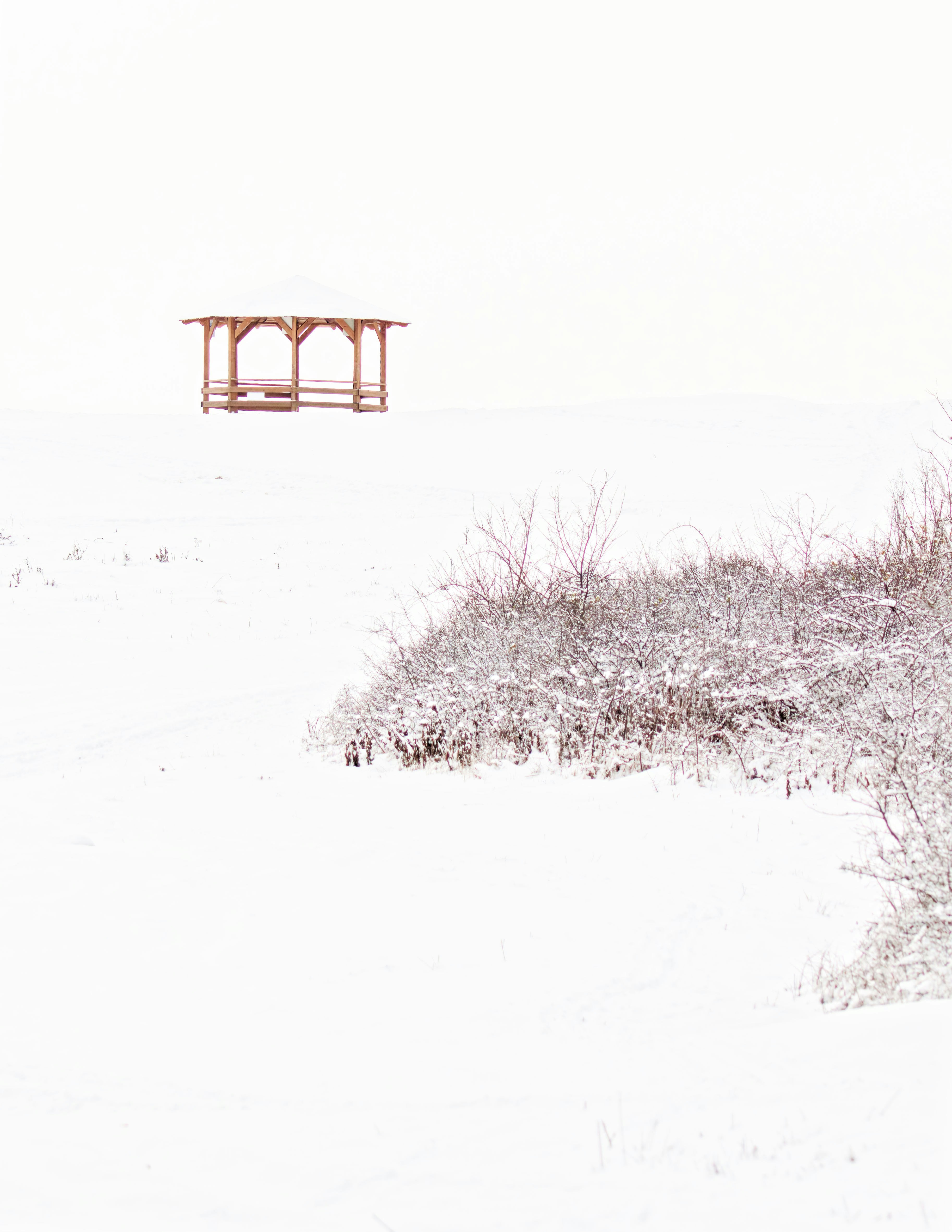 Wooden gazebo in a snowy, minimalist landscape