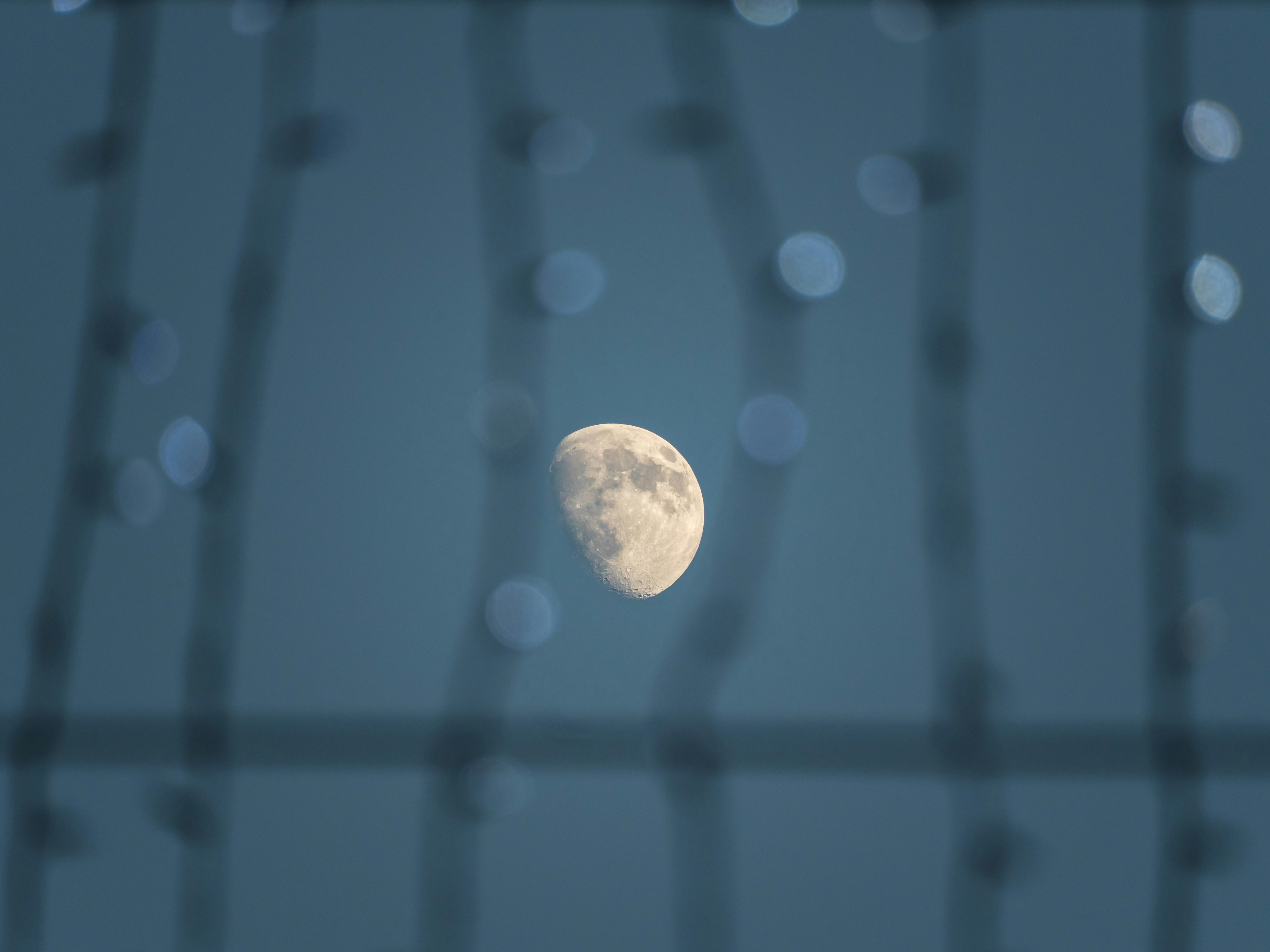 The moon is visible through a blurred grid.