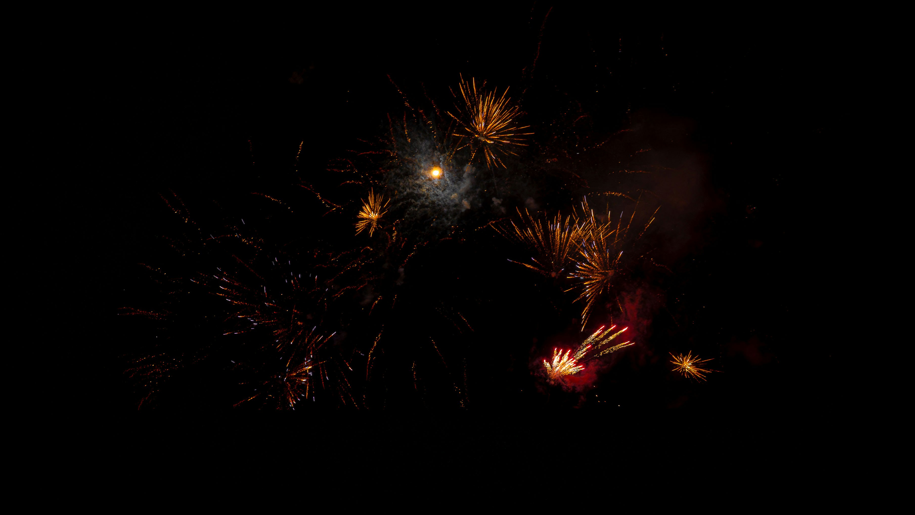 Colorful fireworks explode in the night sky