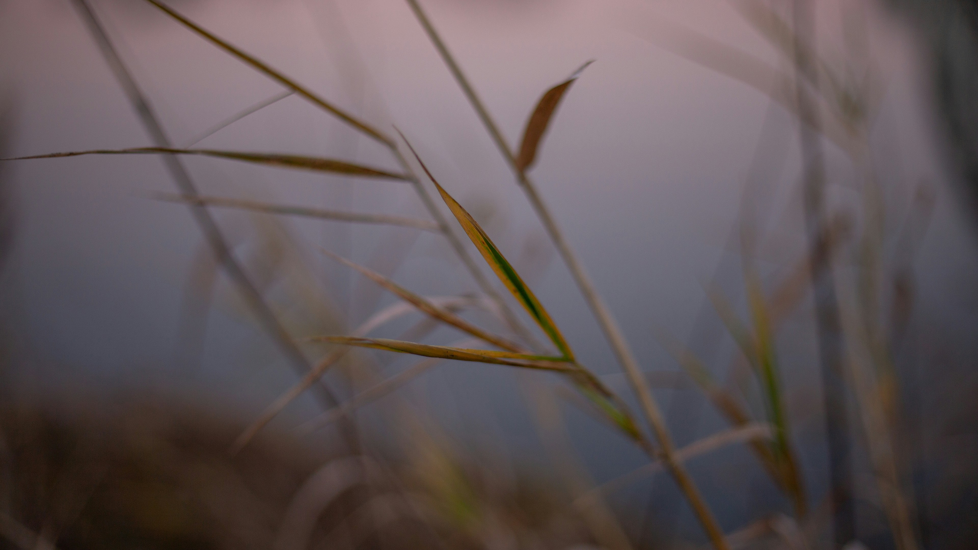 Photo by zdzieblowski